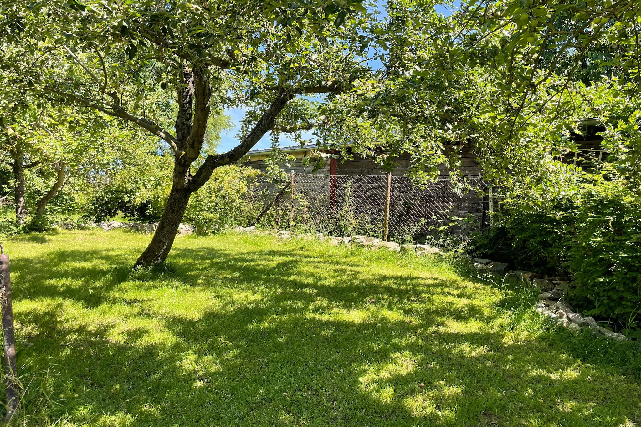 Garden Summer