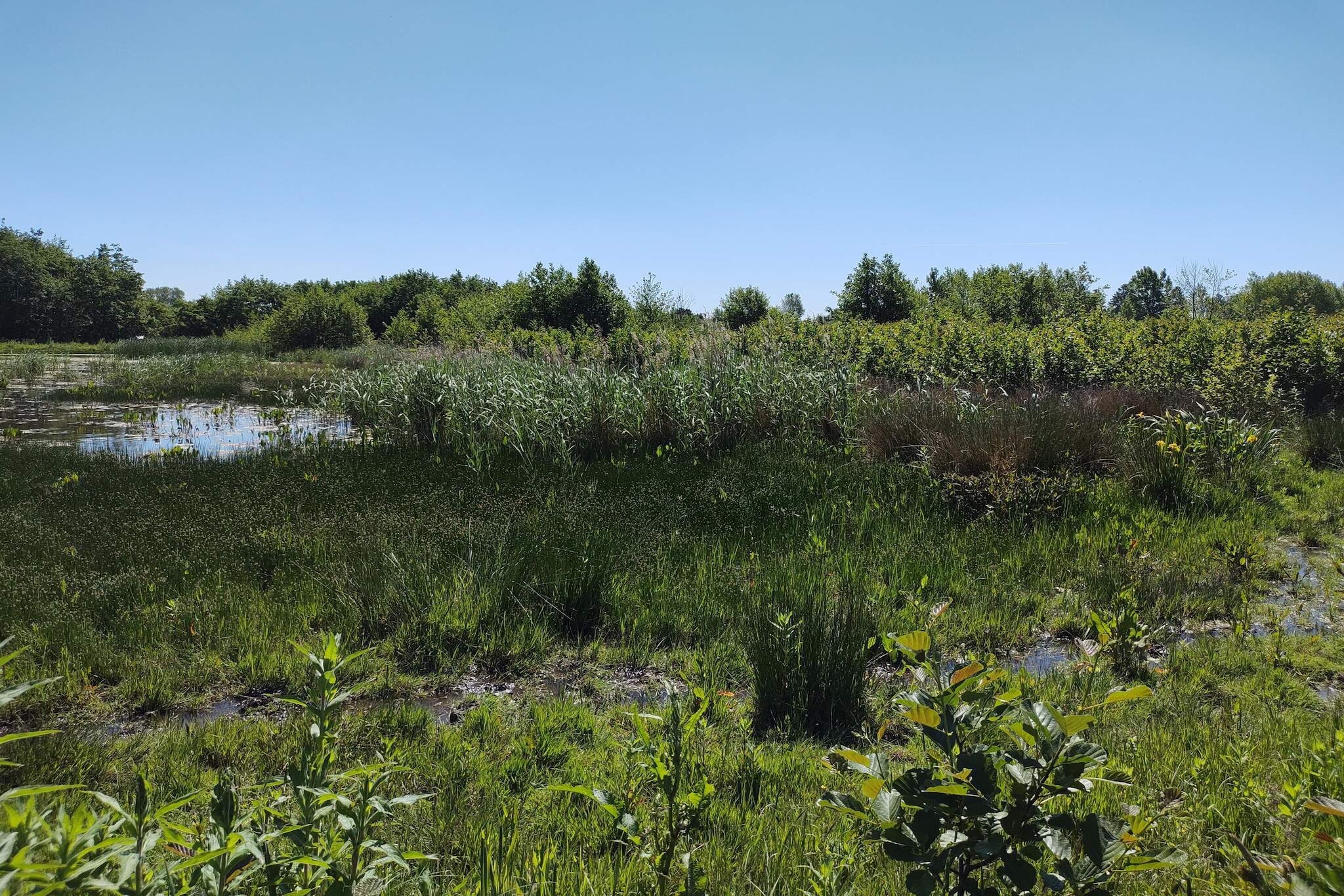 4 Sterne Ferienhaus in Præstø-By Traum-Nicht zugeordnet