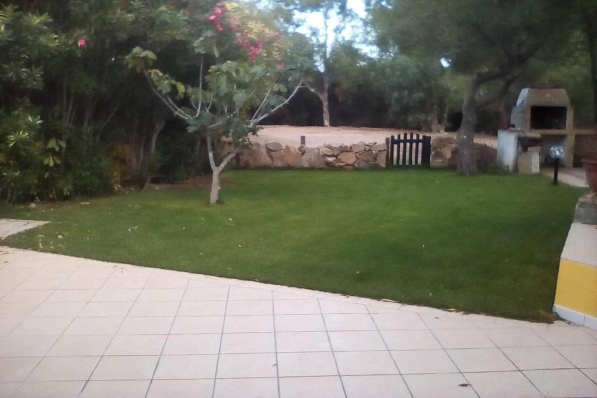Garden Summer