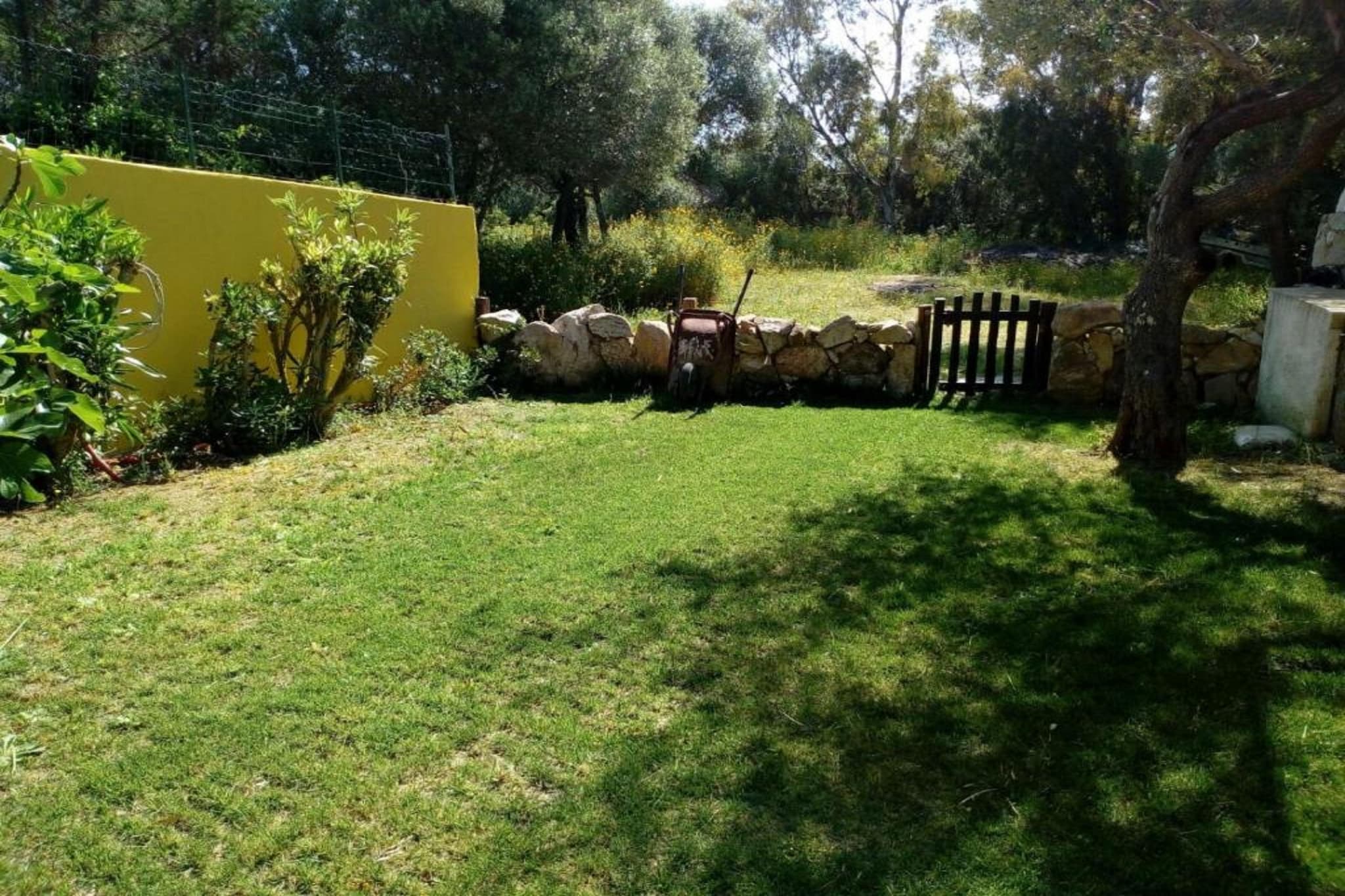 Garden Summer