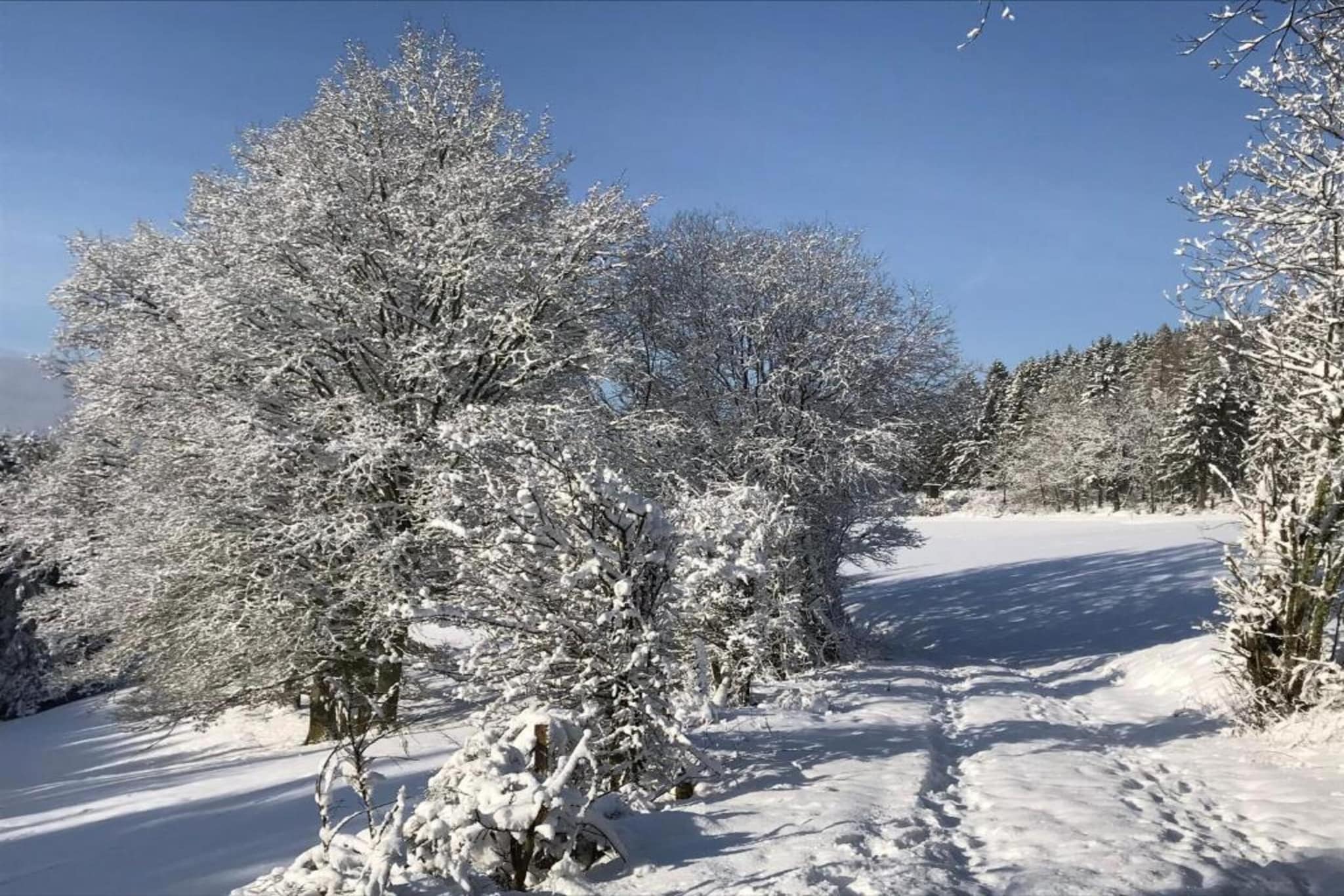 Appartement Eifelsteig-Gebied winter 20km