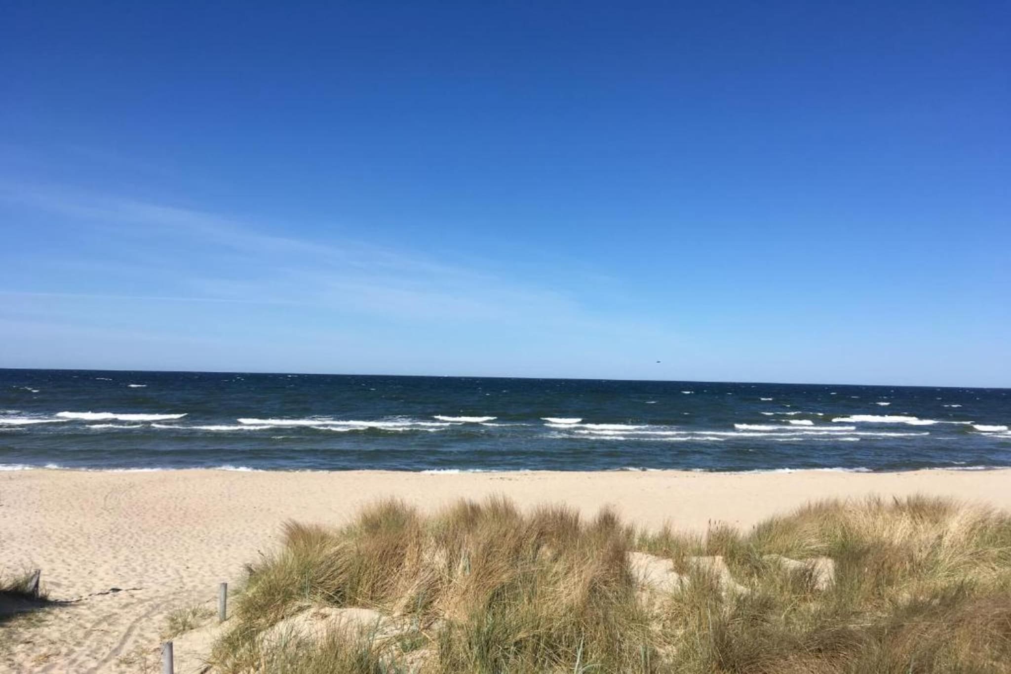 Bungalow Mönchgut auf Rügen-Gebieden zomer 20km