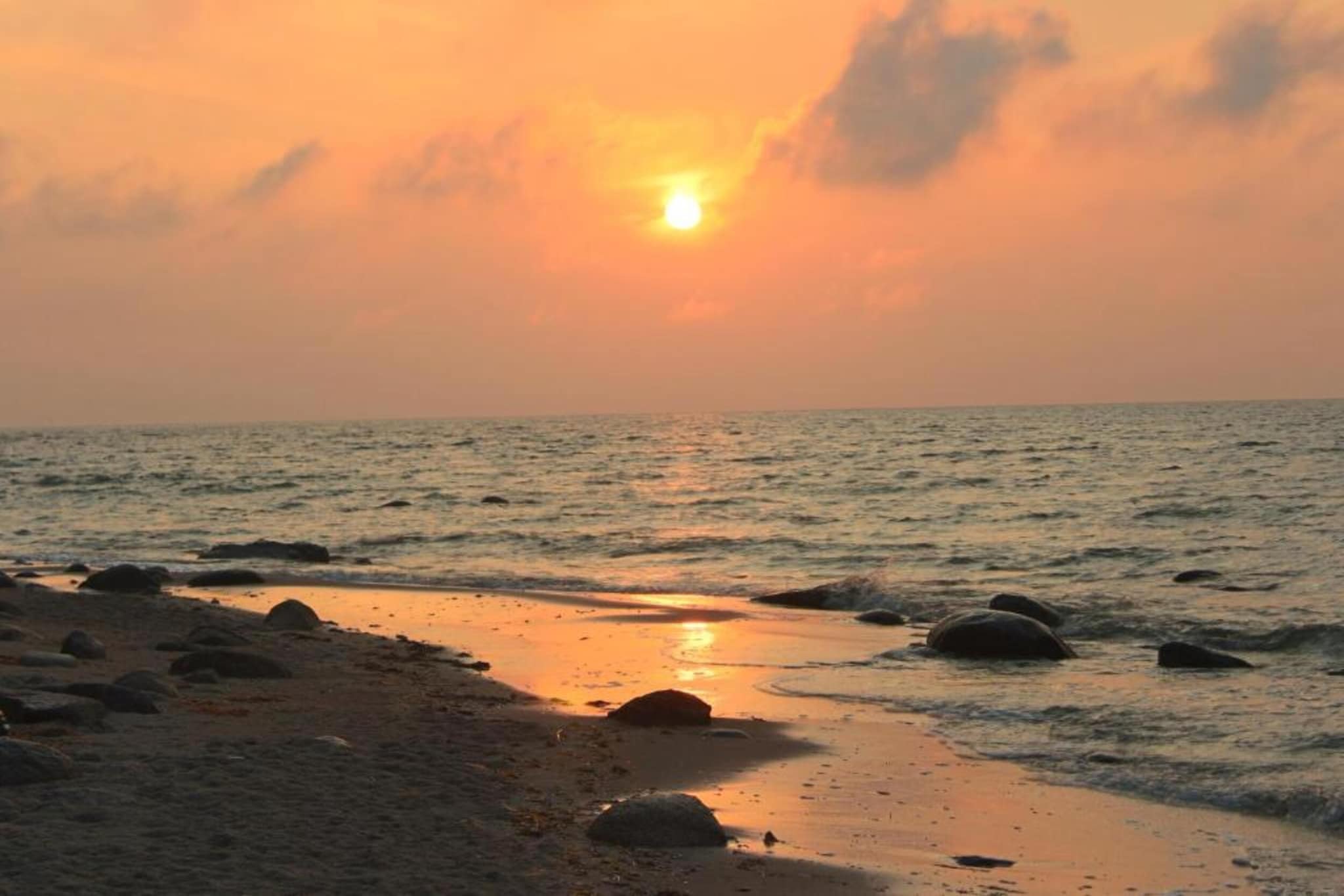 Bungalow Mönchgut auf Rügen-Gebieden zomer 20km
