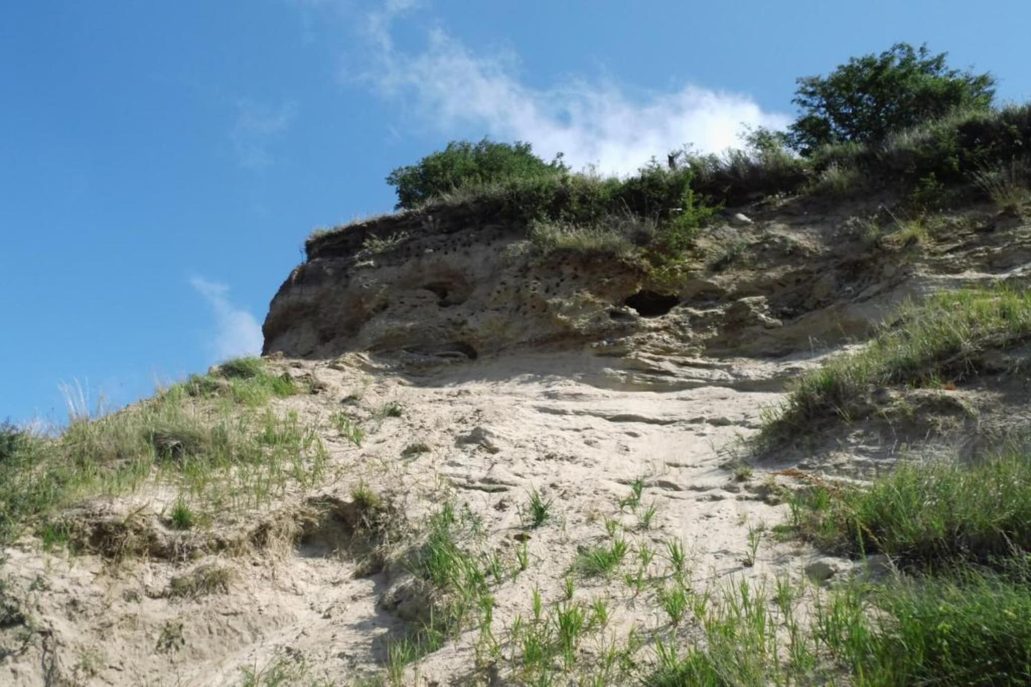 Bungalow Mönchgut auf Rügen-Gebieden zomer 20km