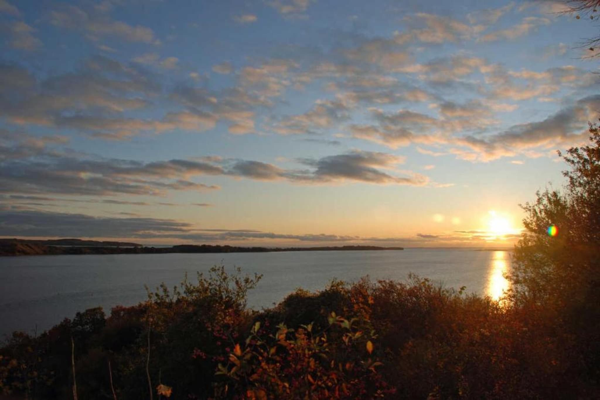 Bungalow Mönchgut auf Rügen-Gebieden zomer 20km