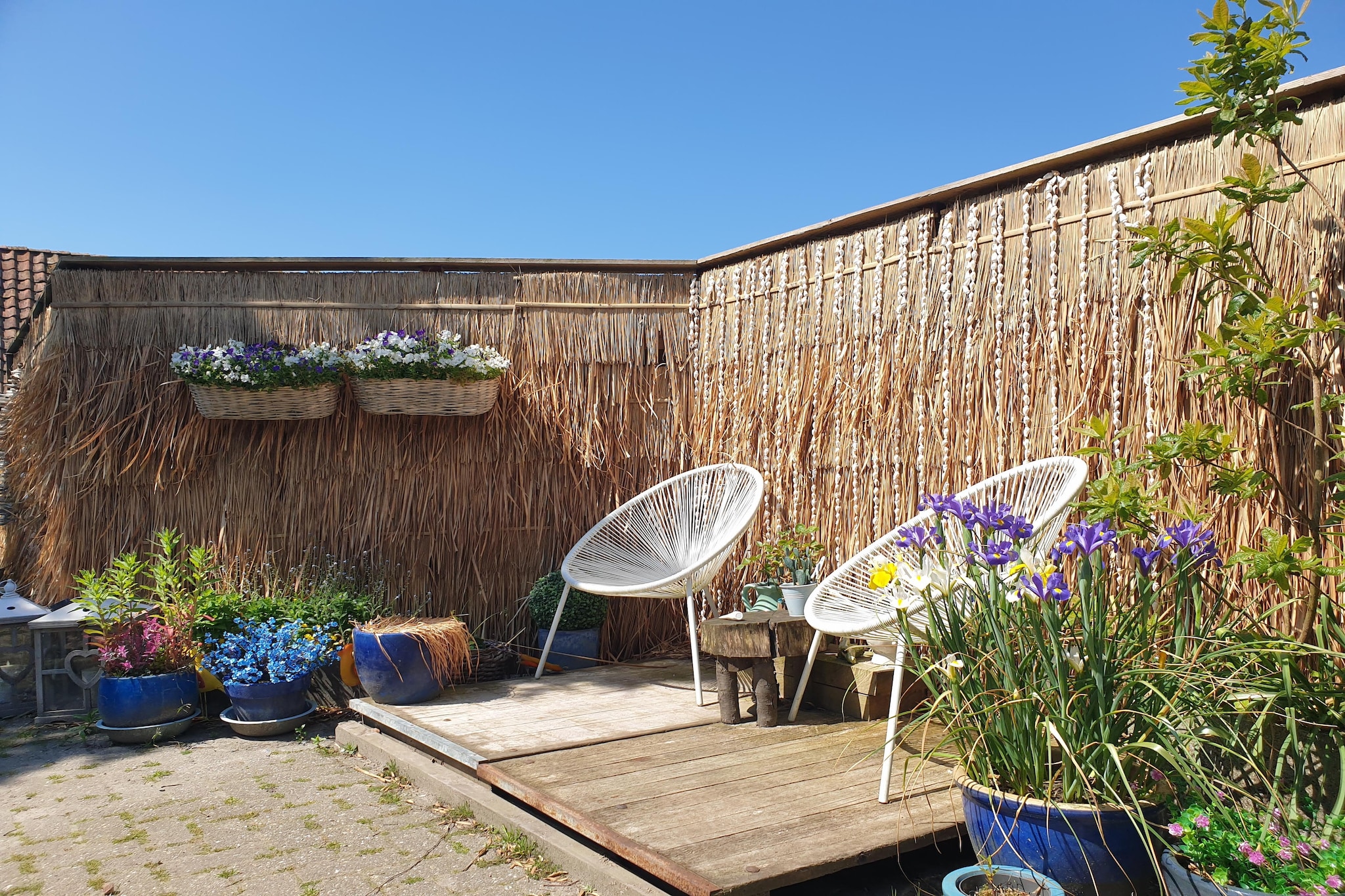 Garden Summer