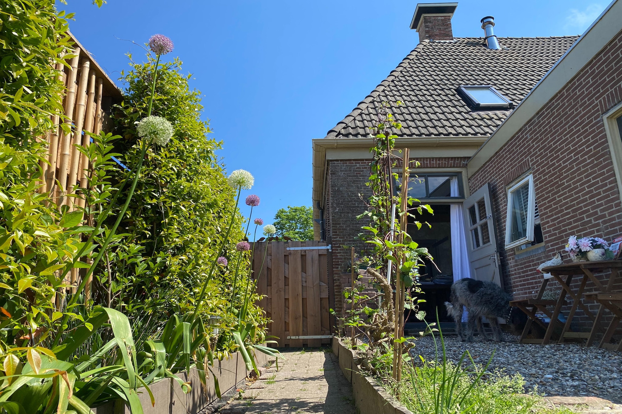 Garden Summer