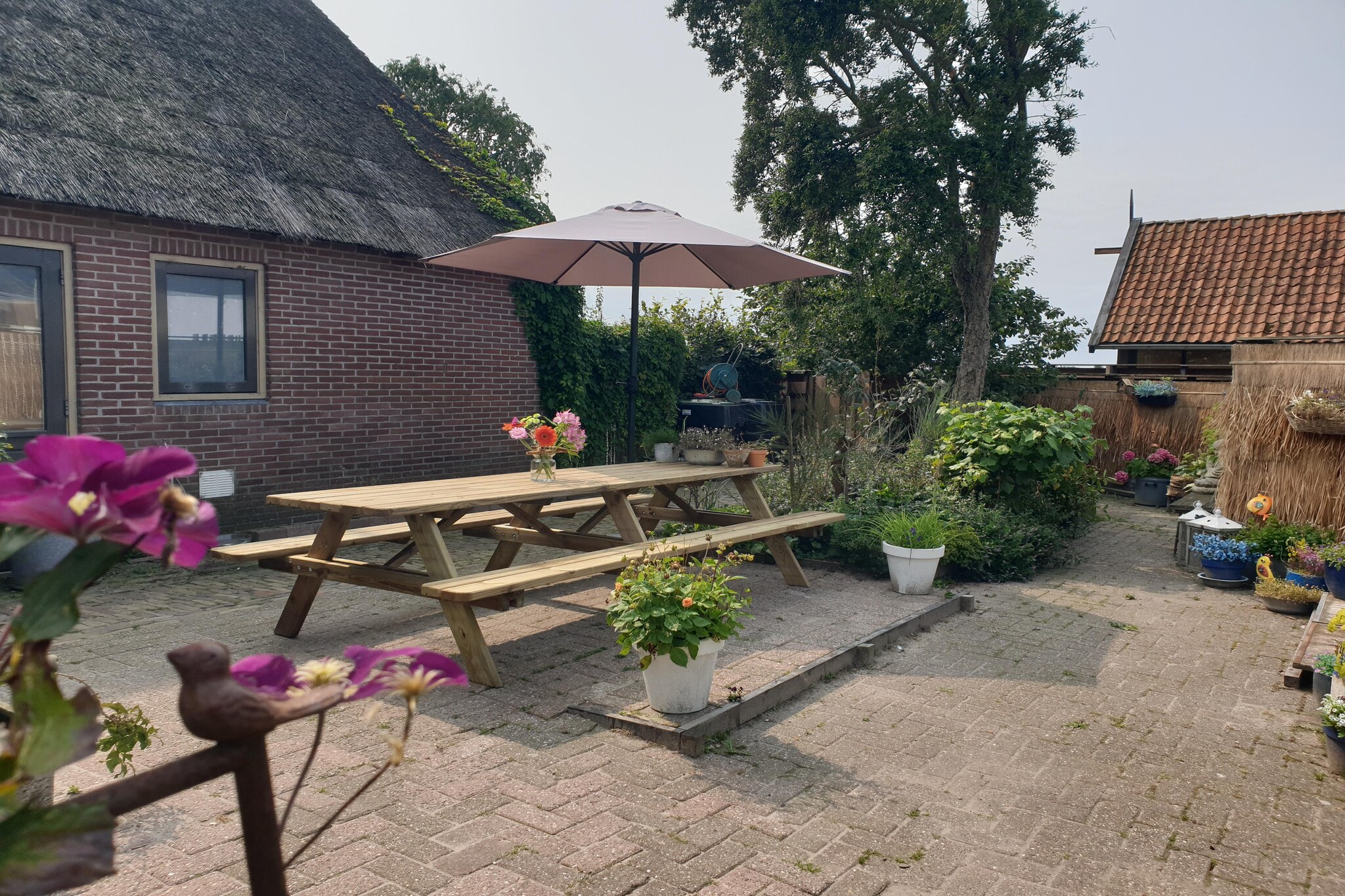 Garden Summer