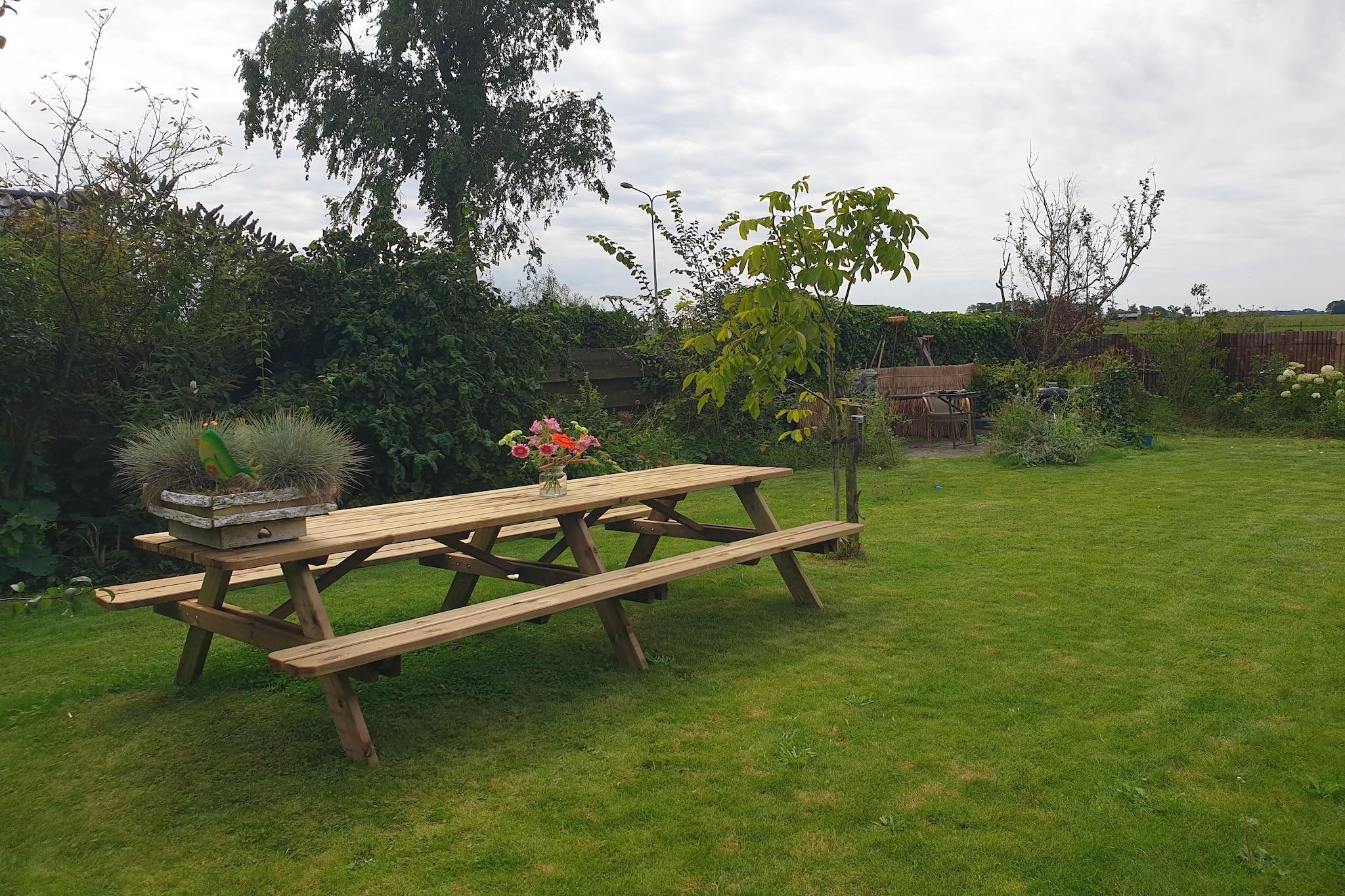 Garden Summer