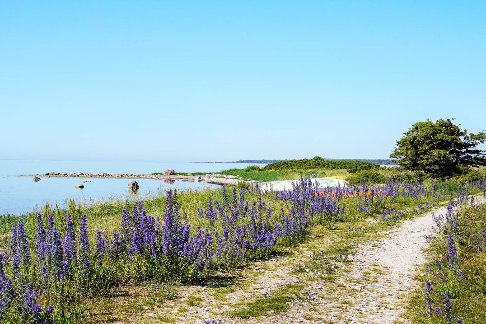 5 sterren vakantie huis in Gotlands Tofta-By Traum - Niet-getagd
