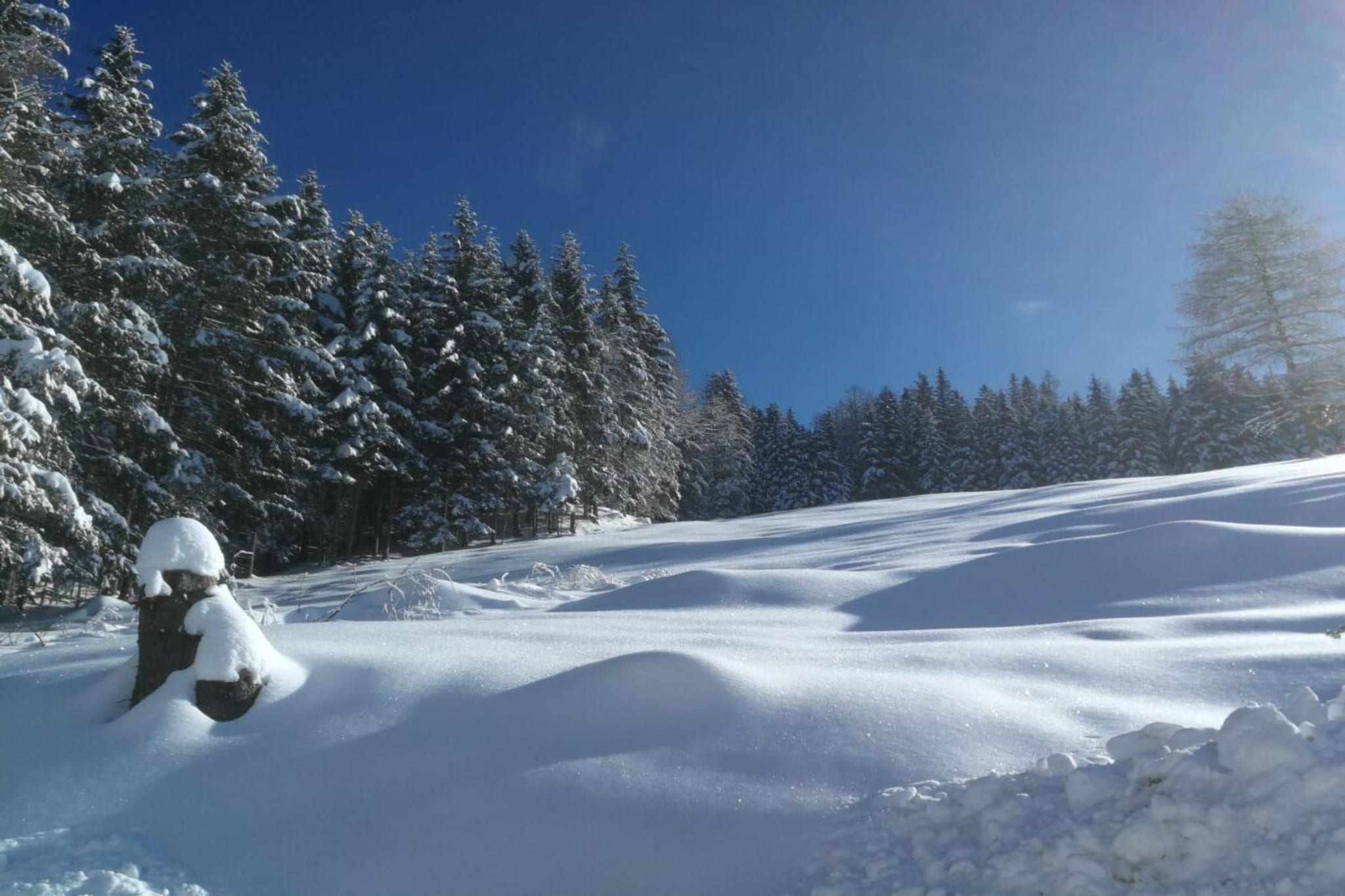 473960-Gebied winter 1km