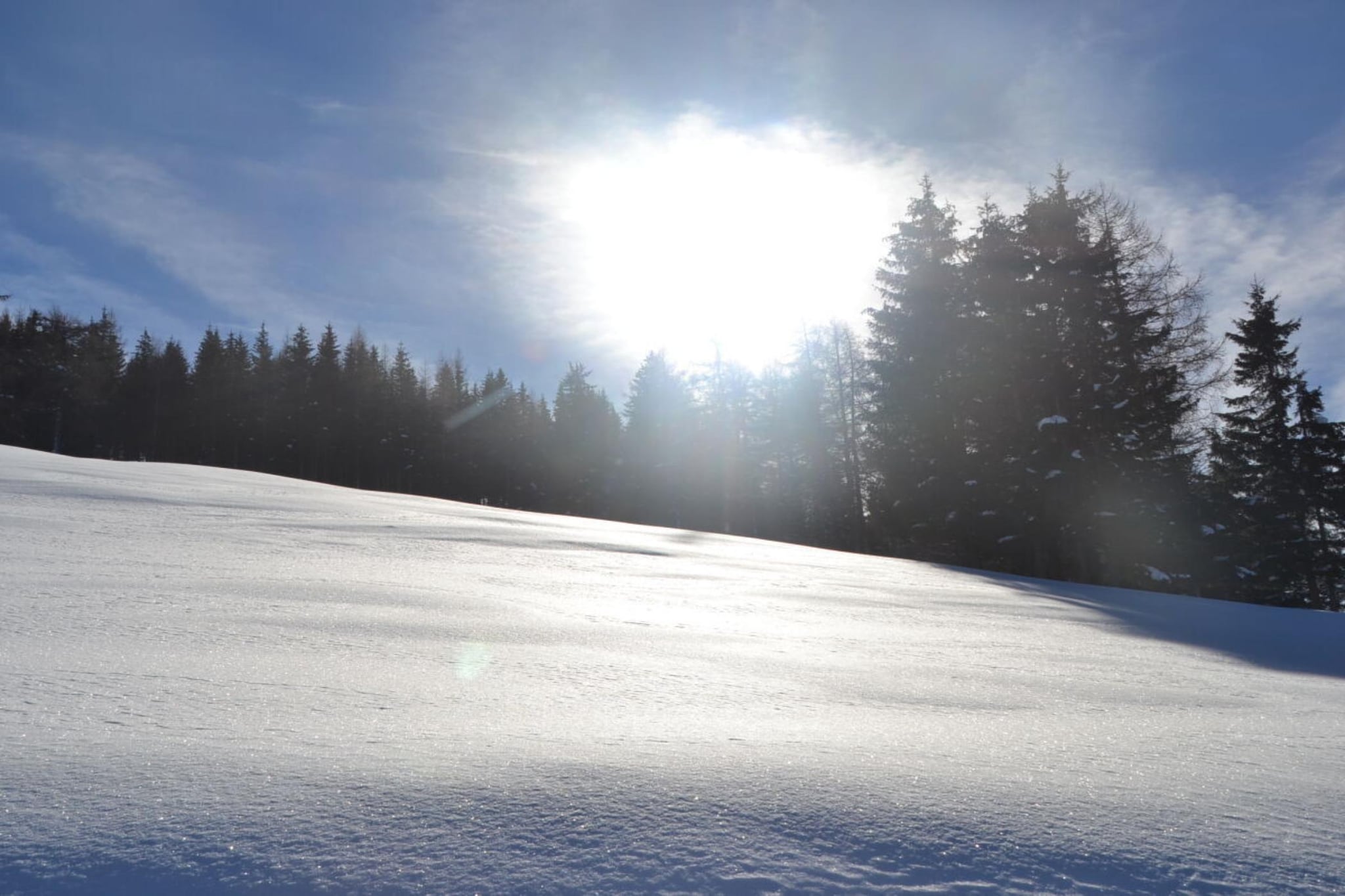 473960-Gebied winter 1km