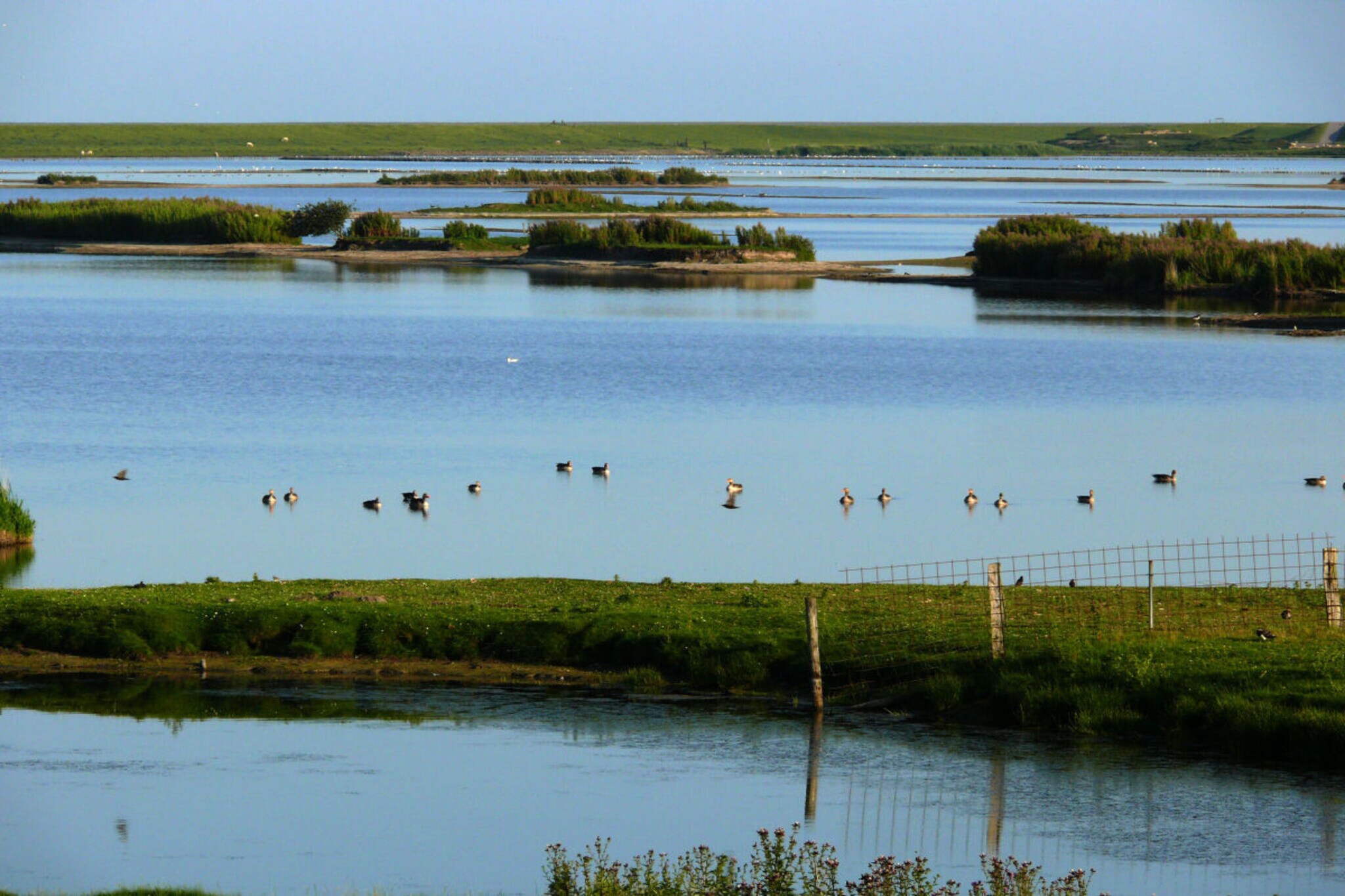 46450-Image-tags.water view