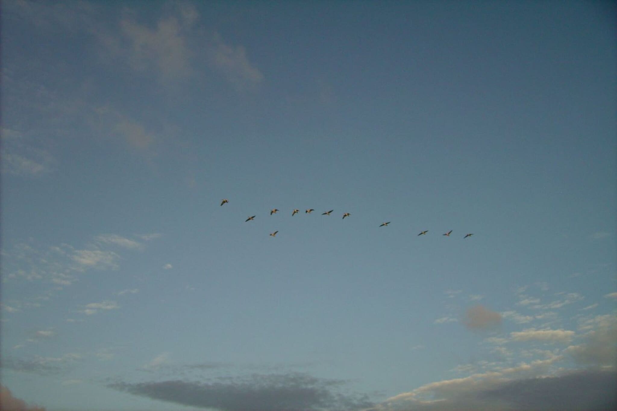 46450-Image-tags.water view