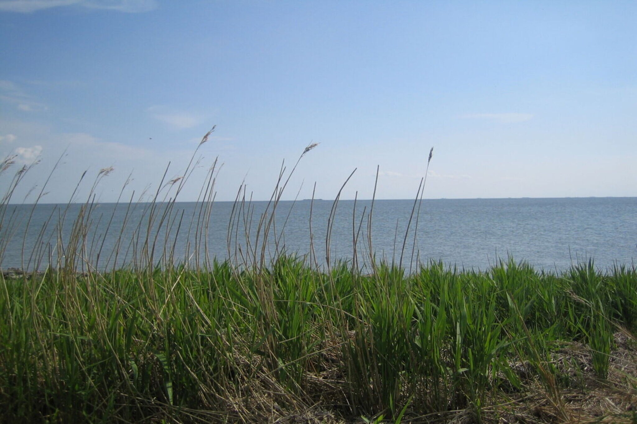 46450-Image-tags.water view