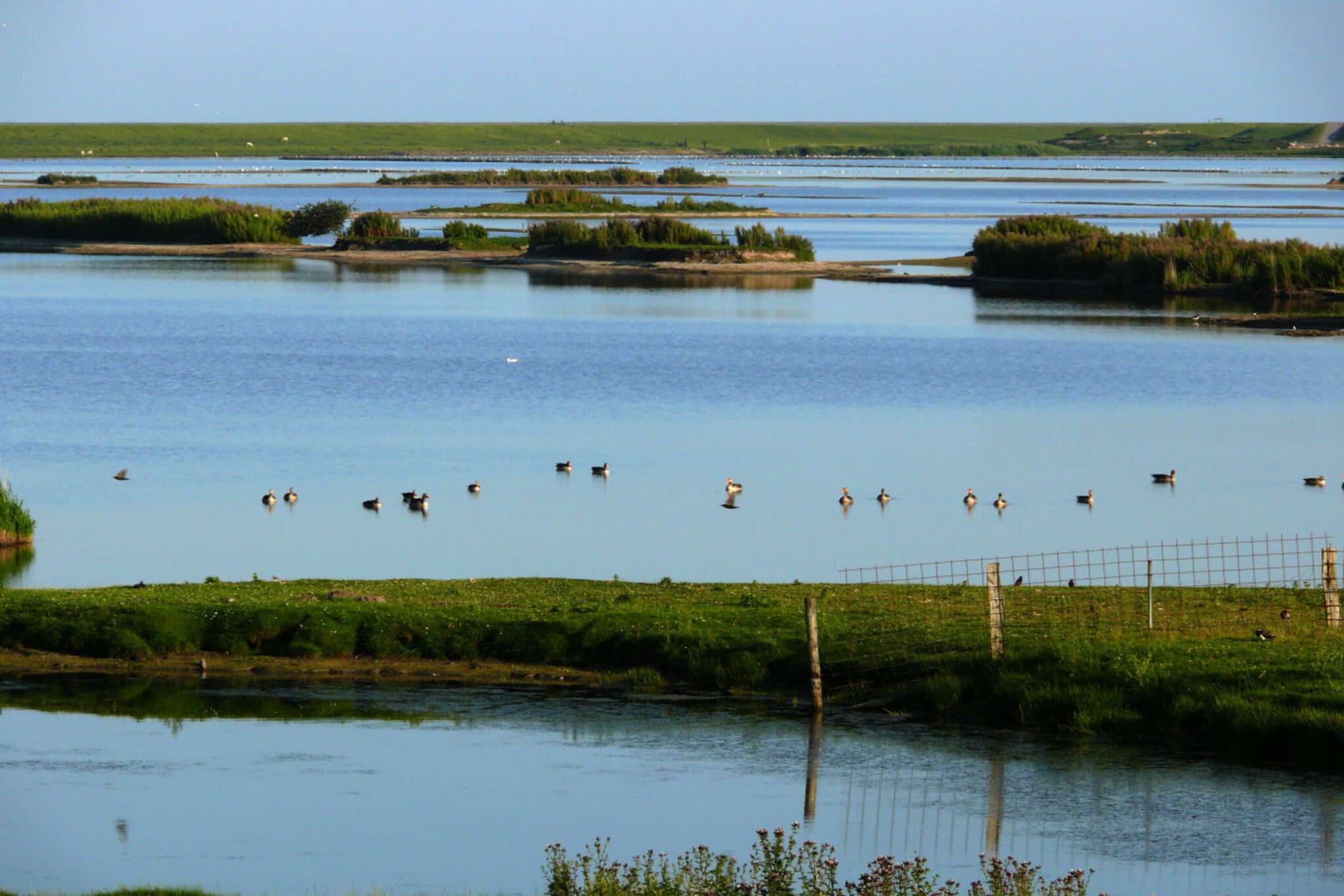 88010-Image-tags.water view