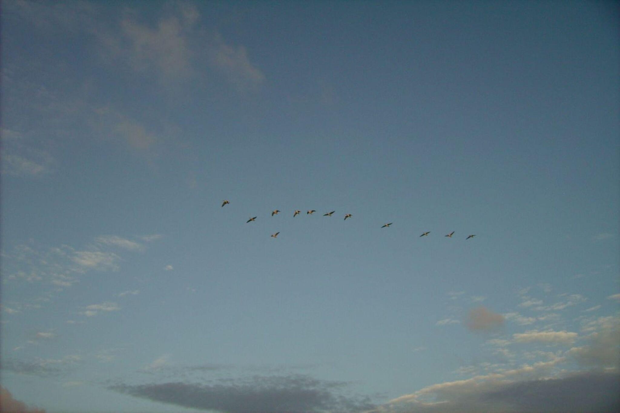 88009-Image-tags.water view