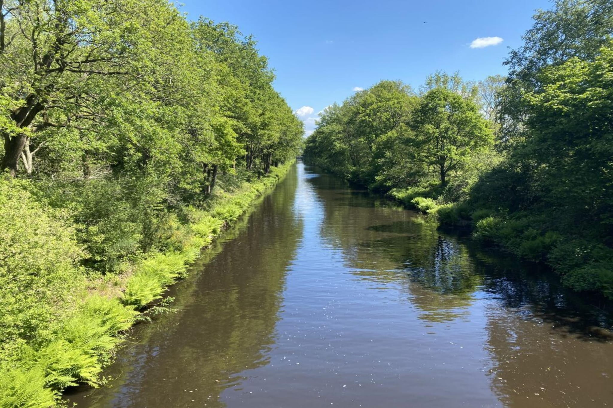 276306-Gebieden zomer 1km