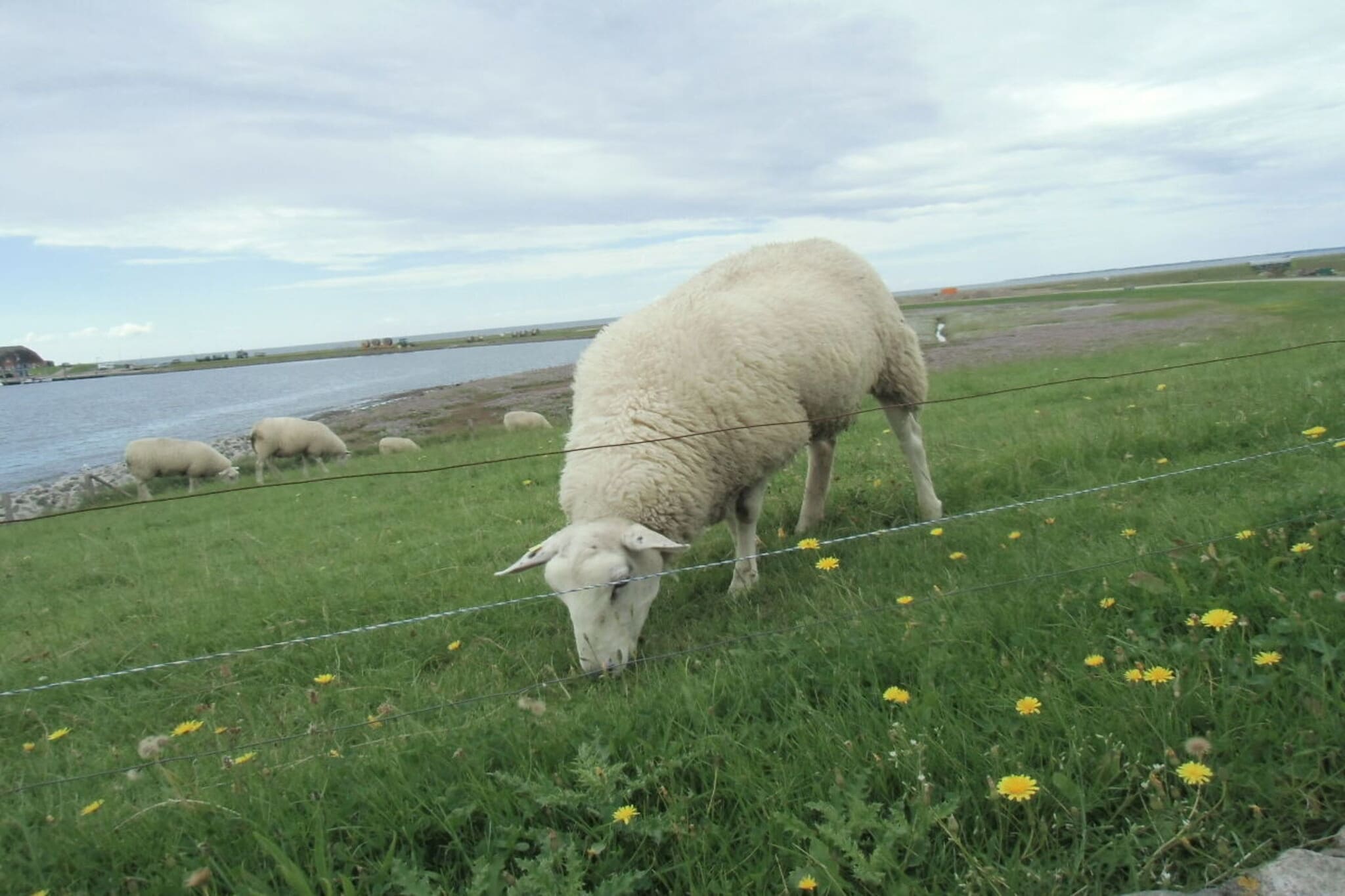 88008-Image-tags.water view