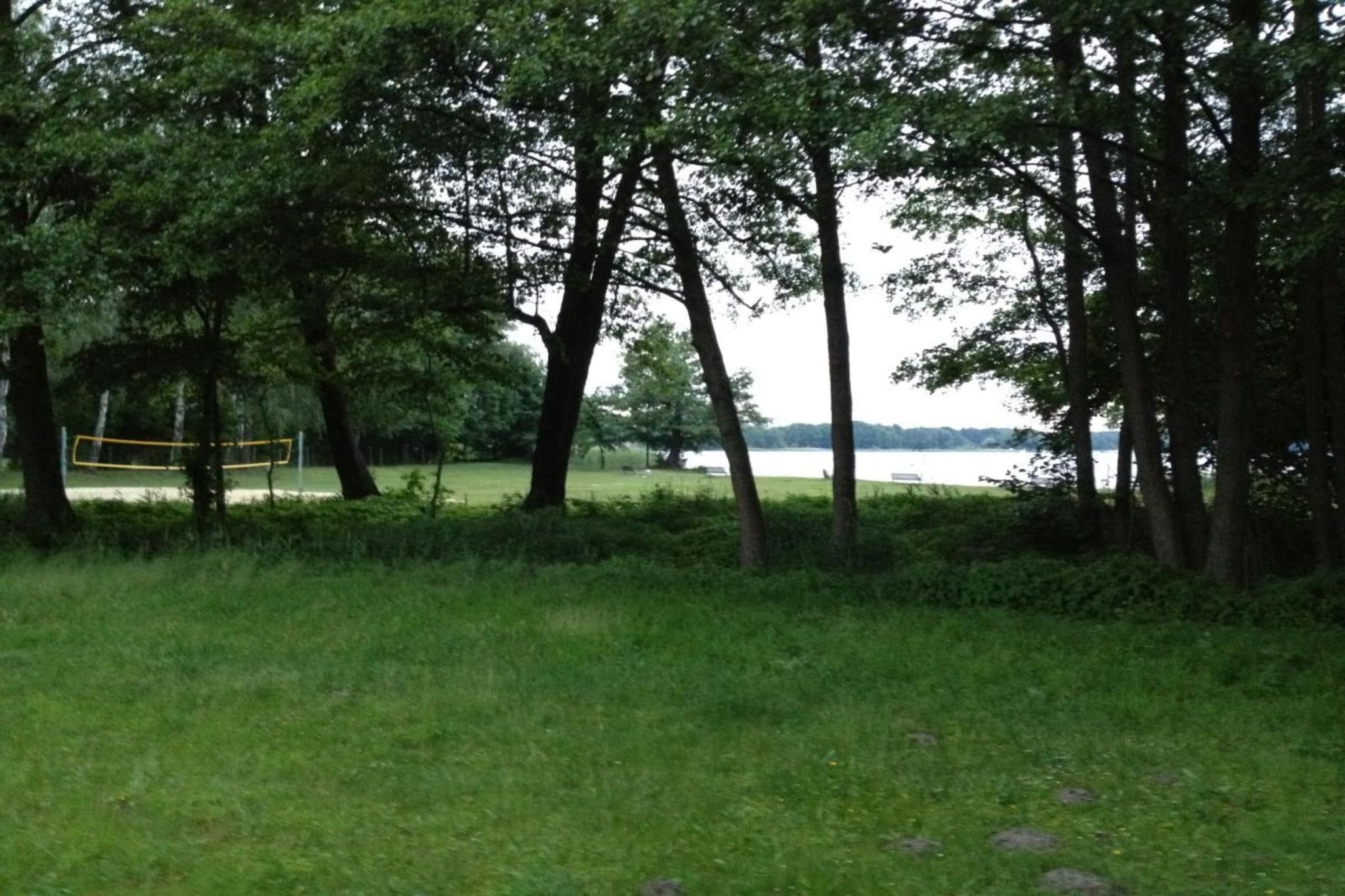 37334-Gebieden zomer 1km