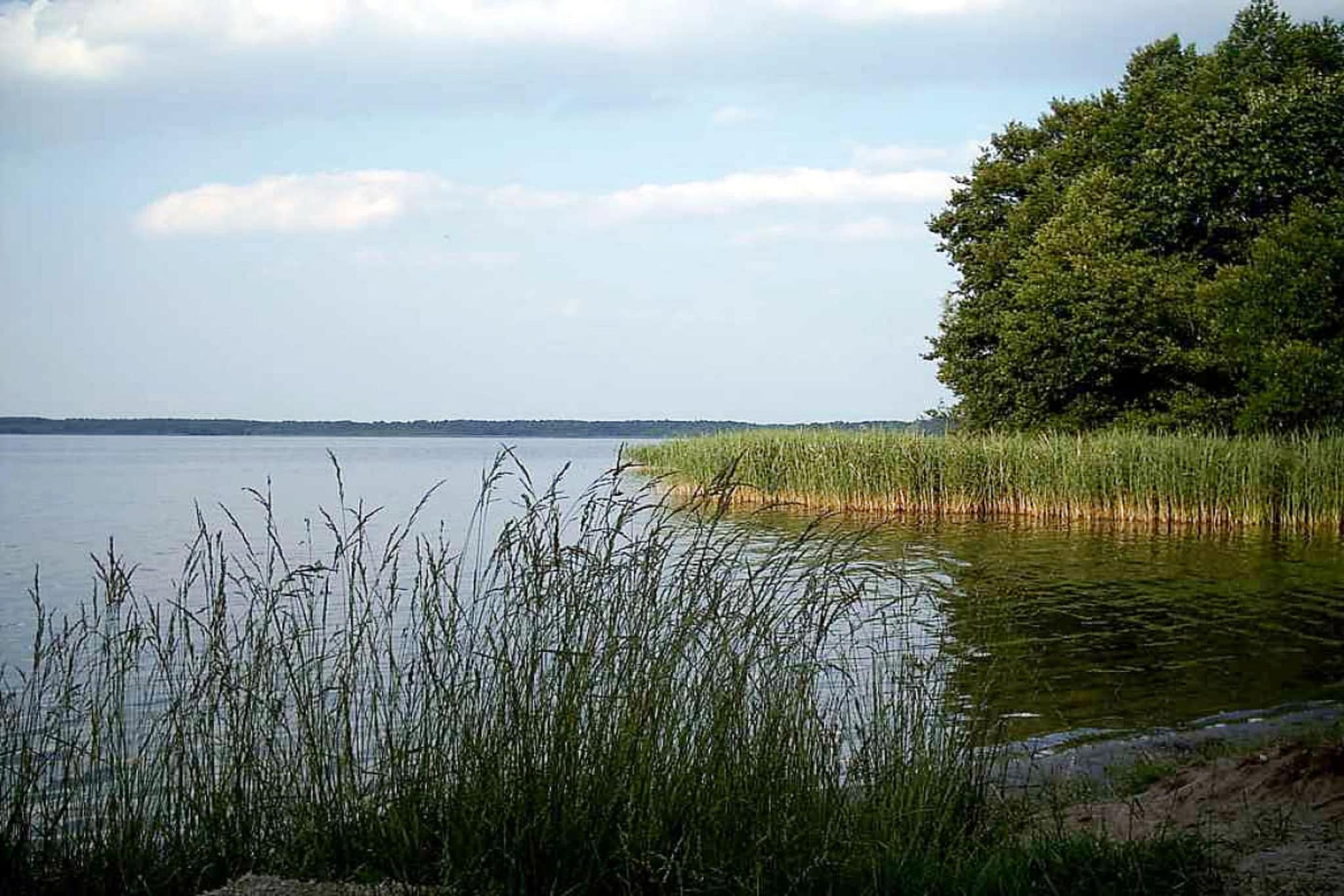 37334-Gebieden zomer 1km