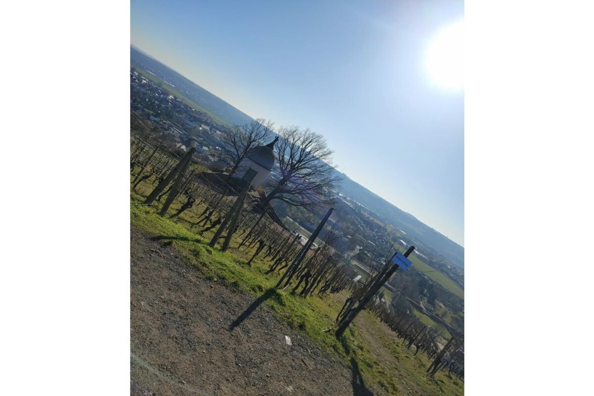 331225-Gebieden zomer 1km