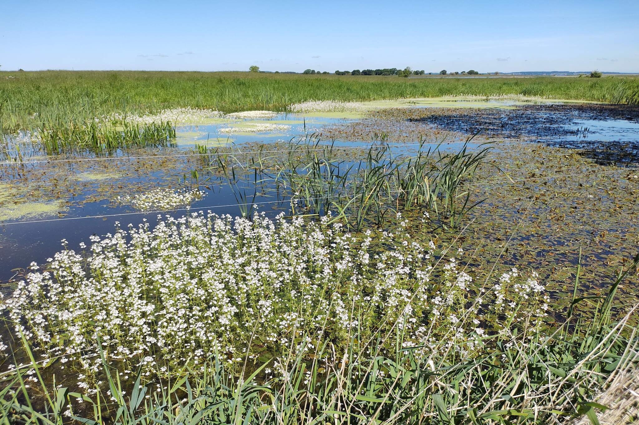 4 sterren vakantie huis in Præstø-By Traum-Waterzicht