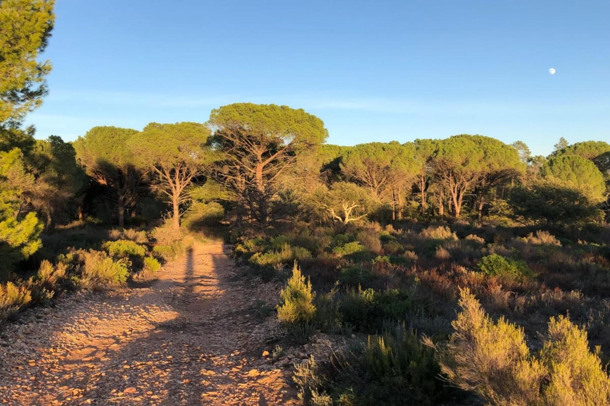 Elja Les Acacias-Gebieden zomer 20km