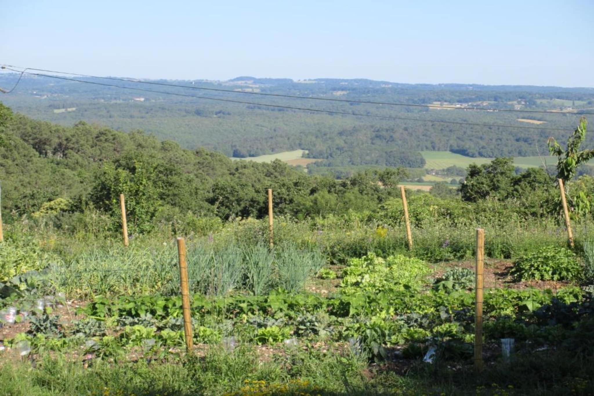 Le Bolet-Gebieden zomer 20km