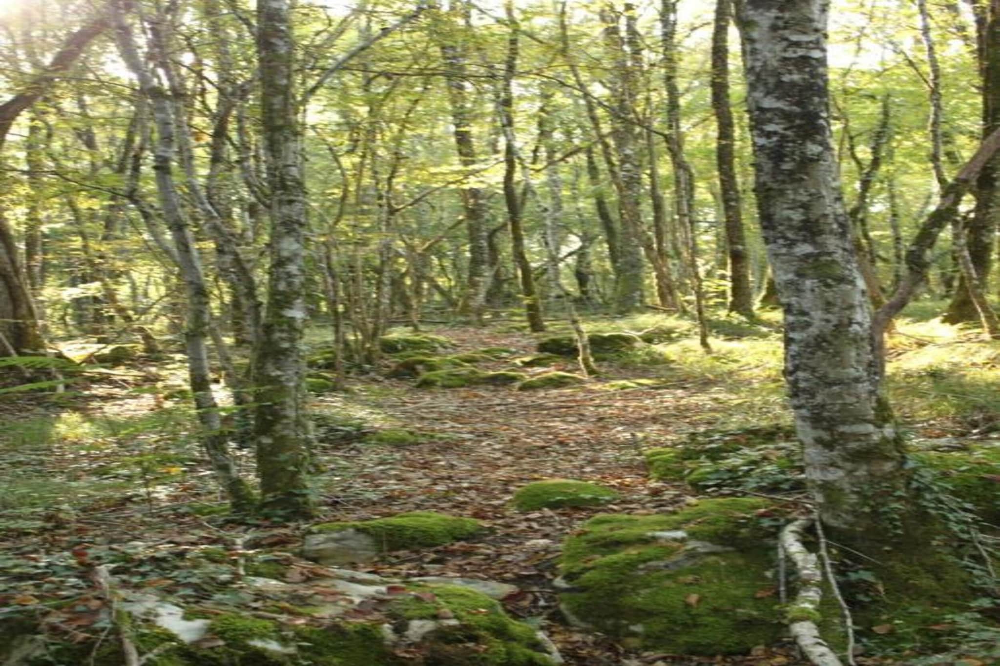 Le Bolet-Gebieden zomer 20km