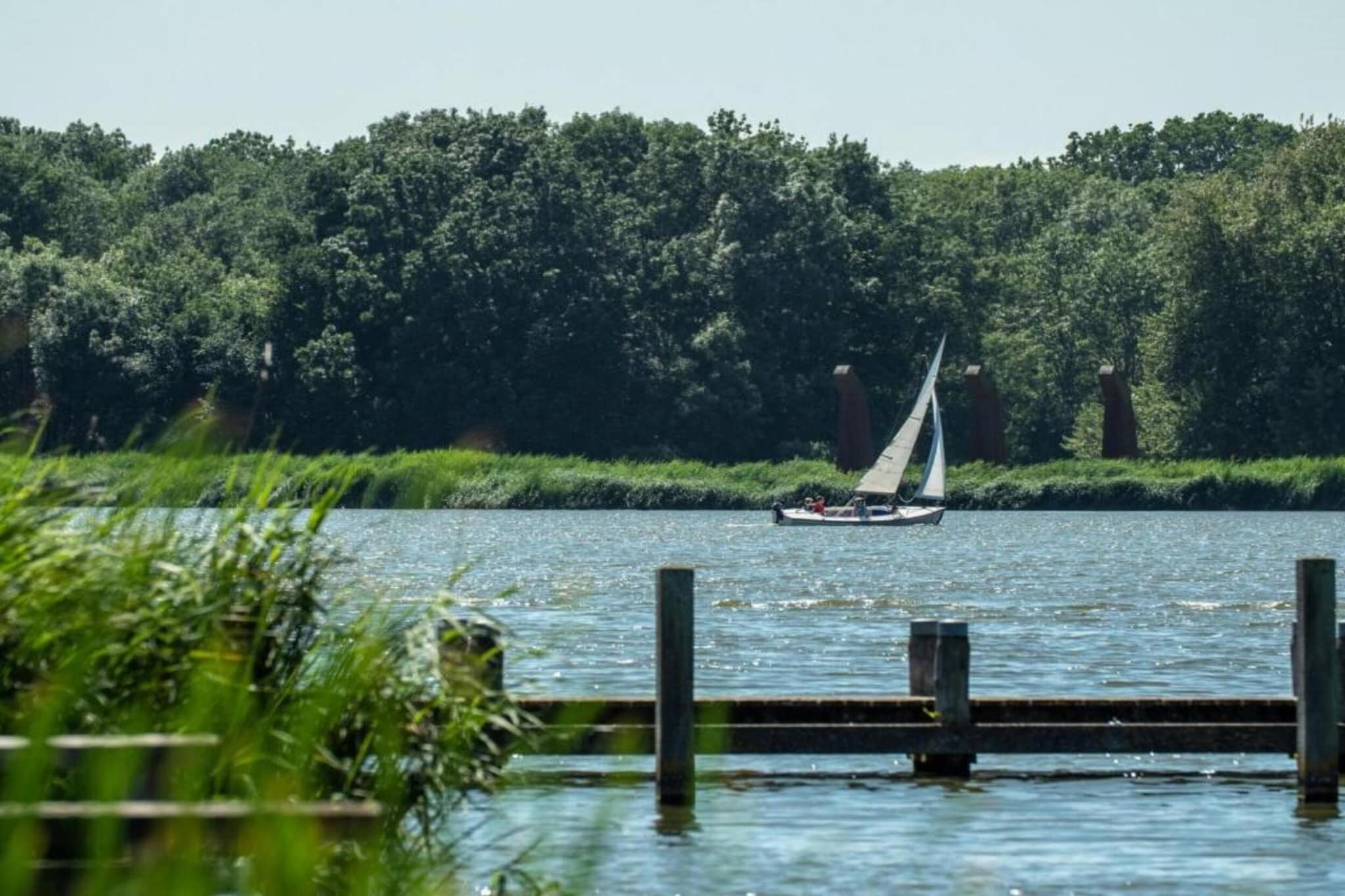 Premium bungalow – max 4 personen – nummer 107-Gebieden zomer 1km