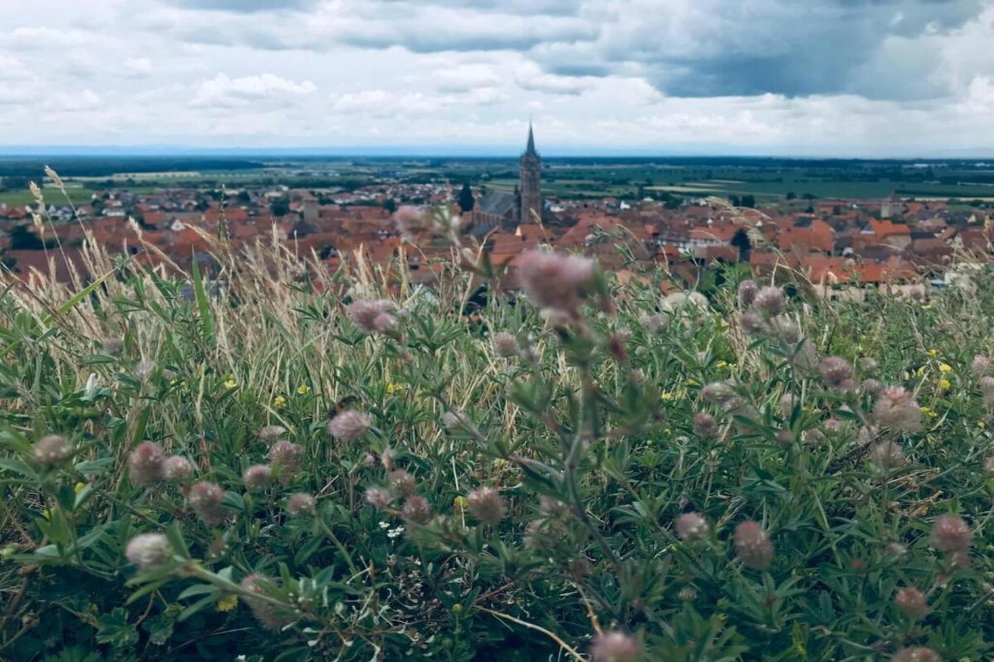 Magnifique Appartement Alsacien-Gebieden zomer 20km