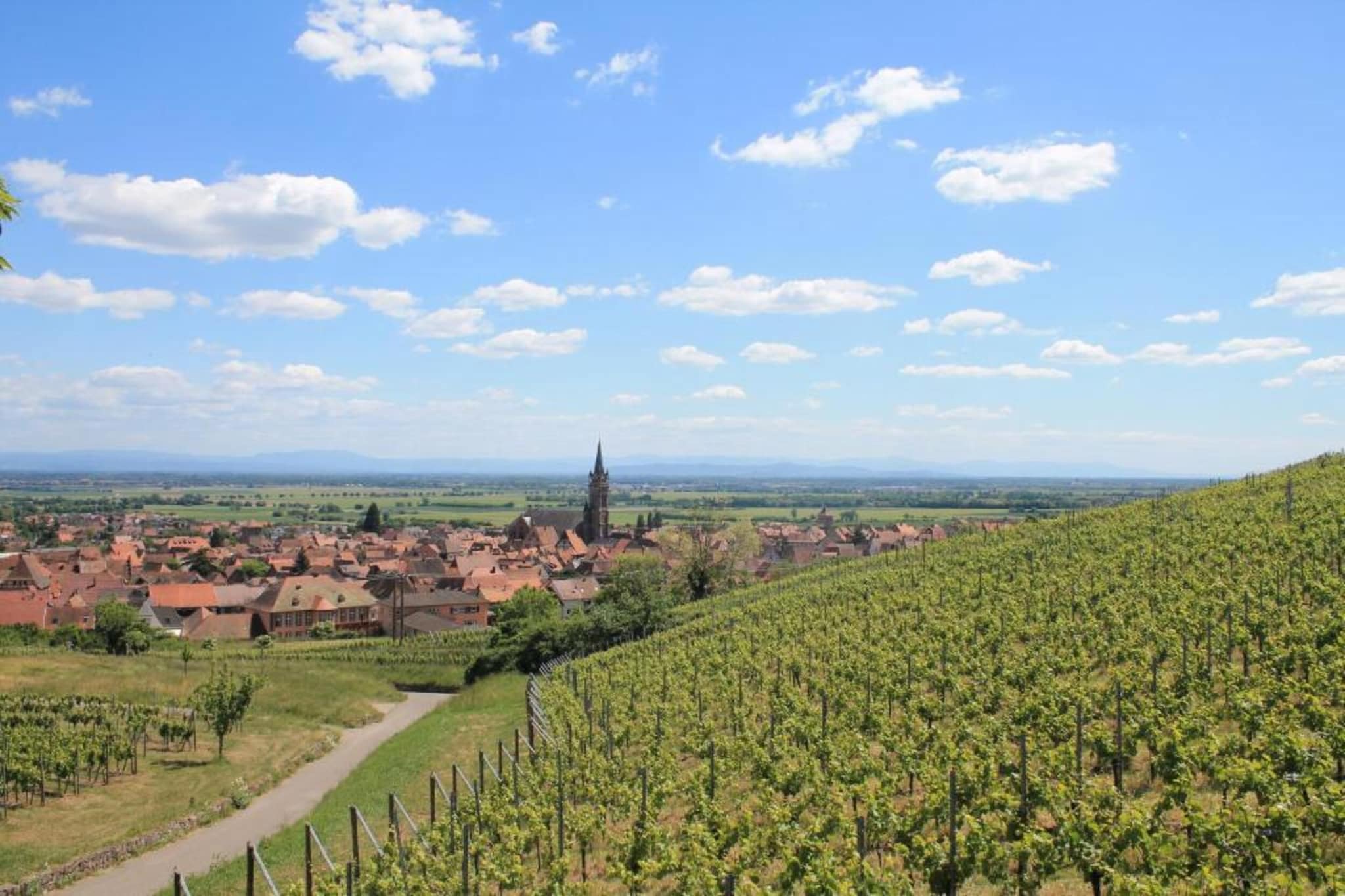 Magnifique Appartement Alsacien-Gebieden zomer 20km