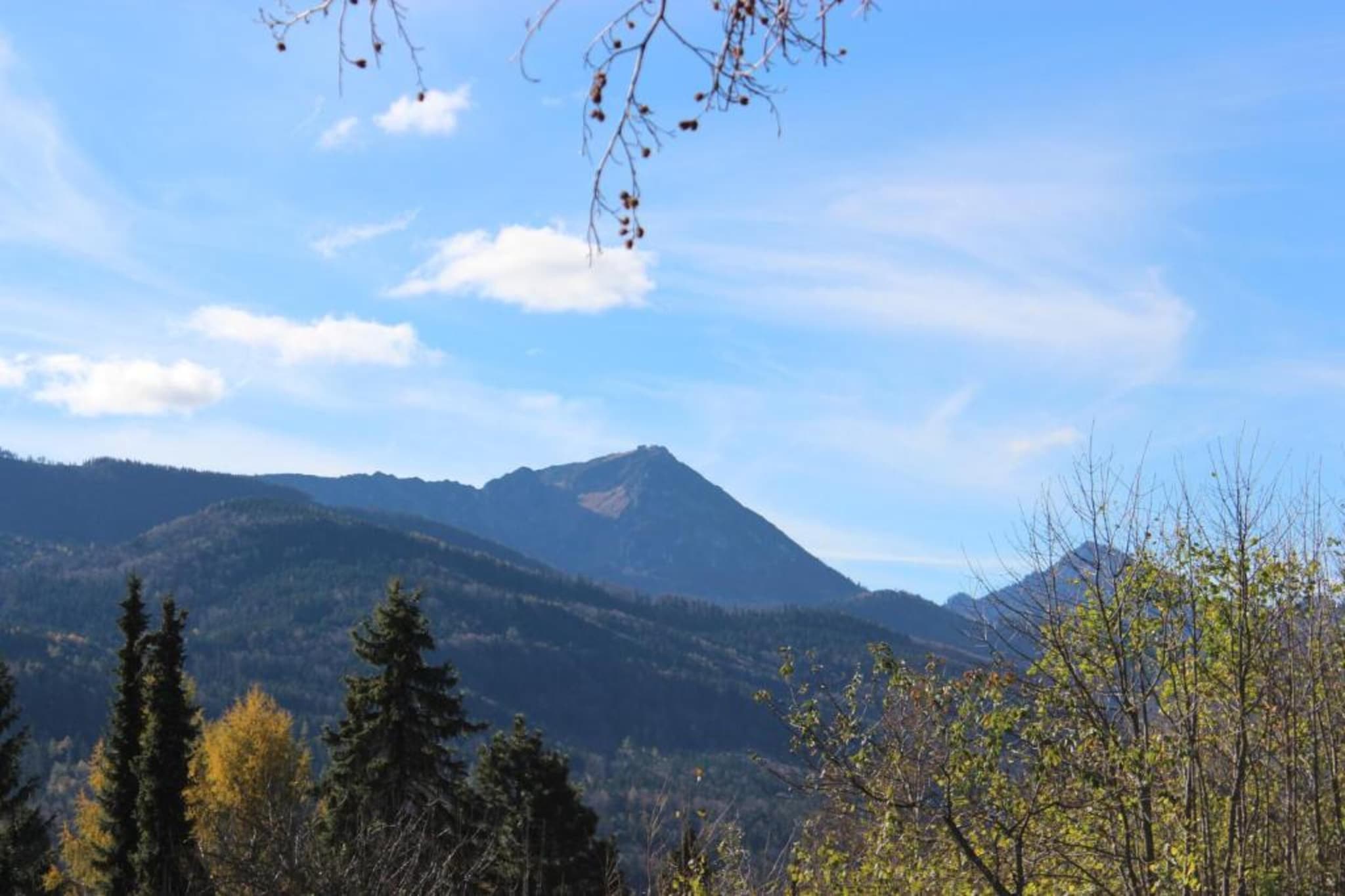 Ferienwohnung Siegsdorf in Bayern-Gebieden zomer 20km