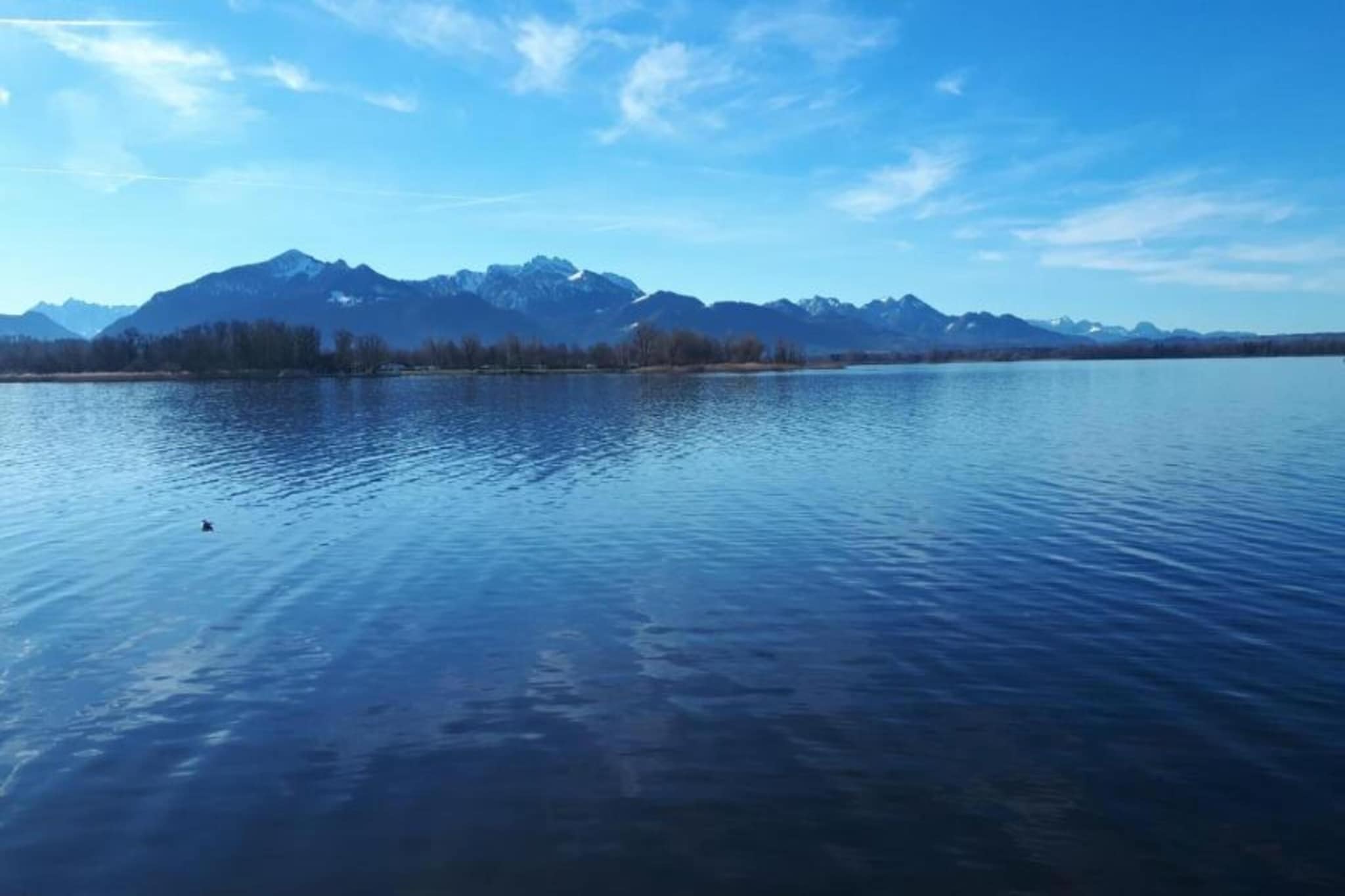 Ferienwohnung Siegsdorf in Bayern-Gebieden zomer 20km