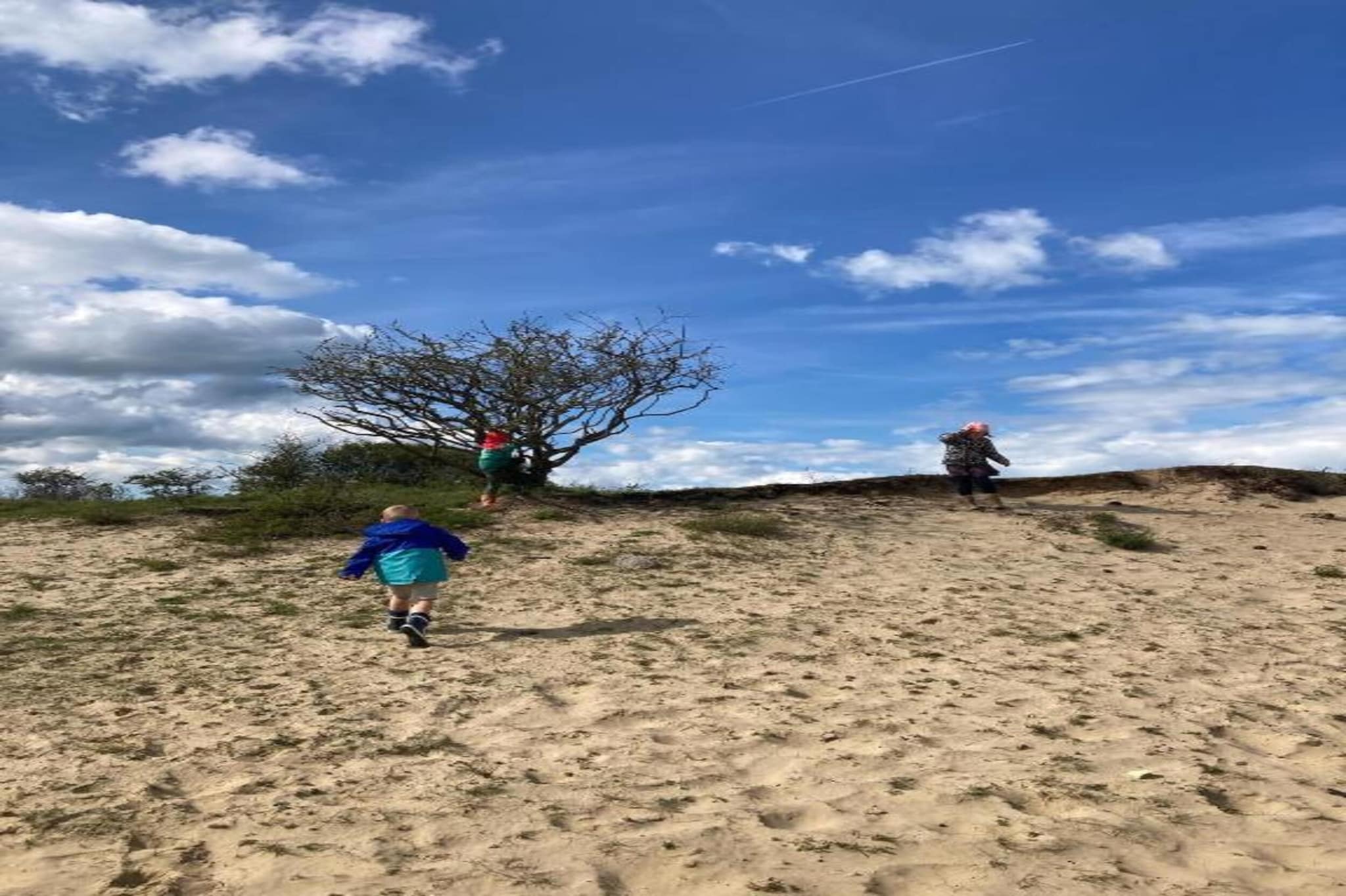 W91-Gebieden zomer 20km
