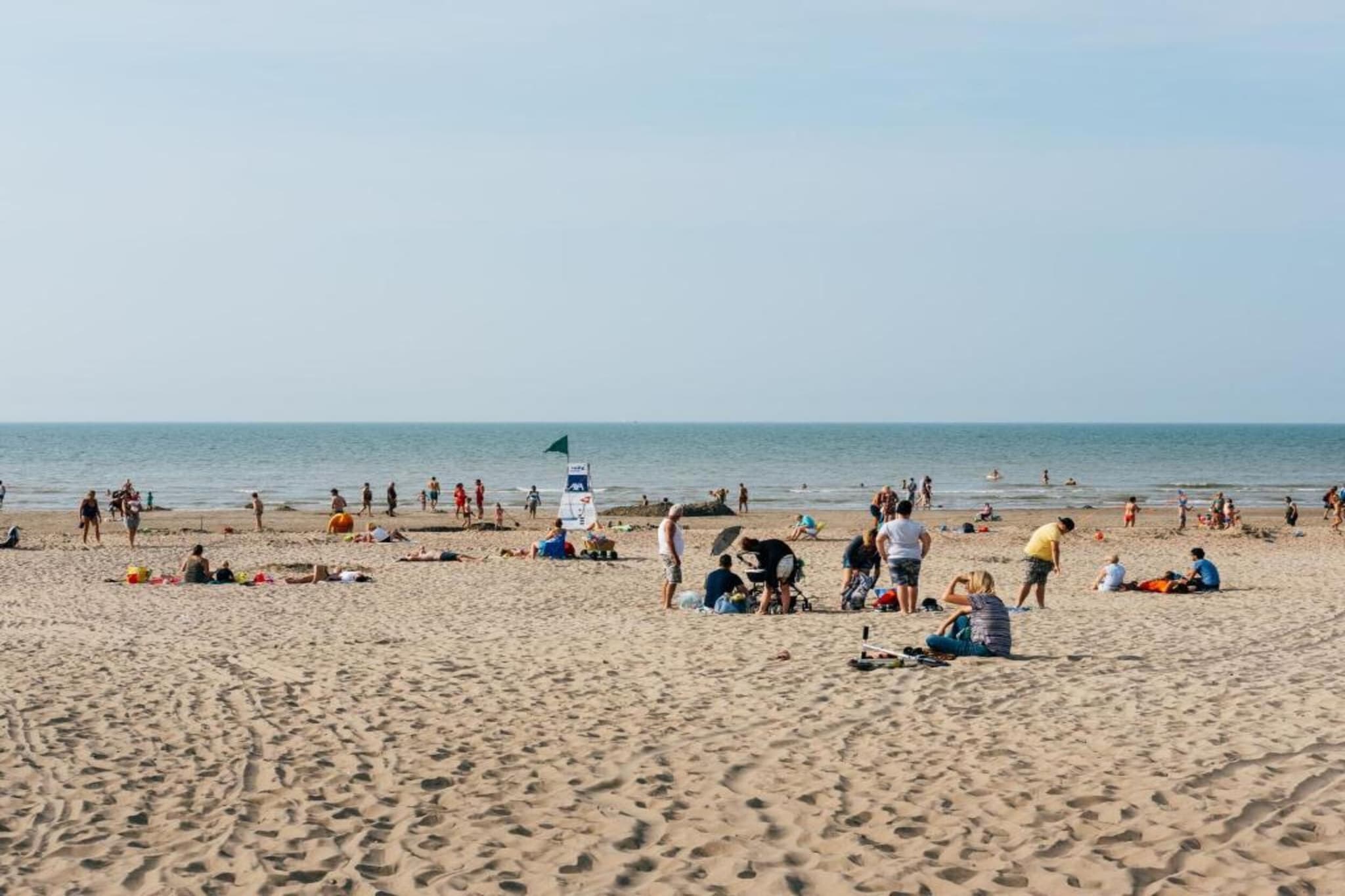 W91-Gebieden zomer 20km