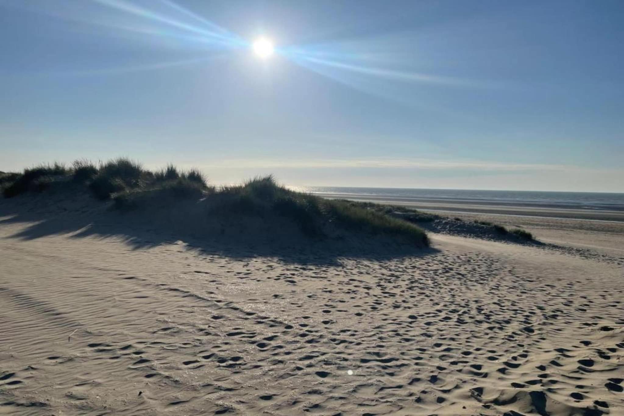 W91-Gebieden zomer 20km
