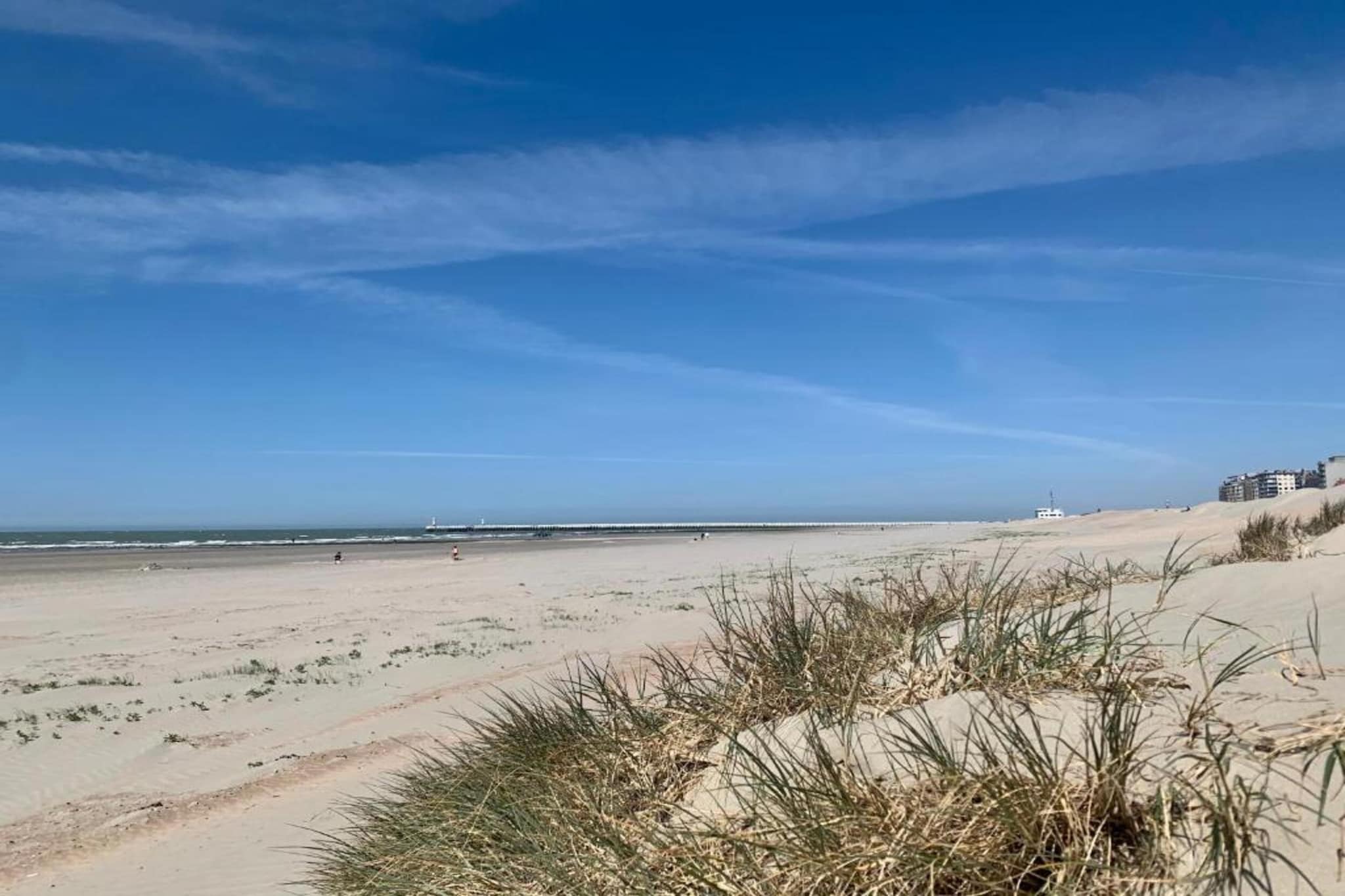 ZP 138-Gebieden zomer 5km