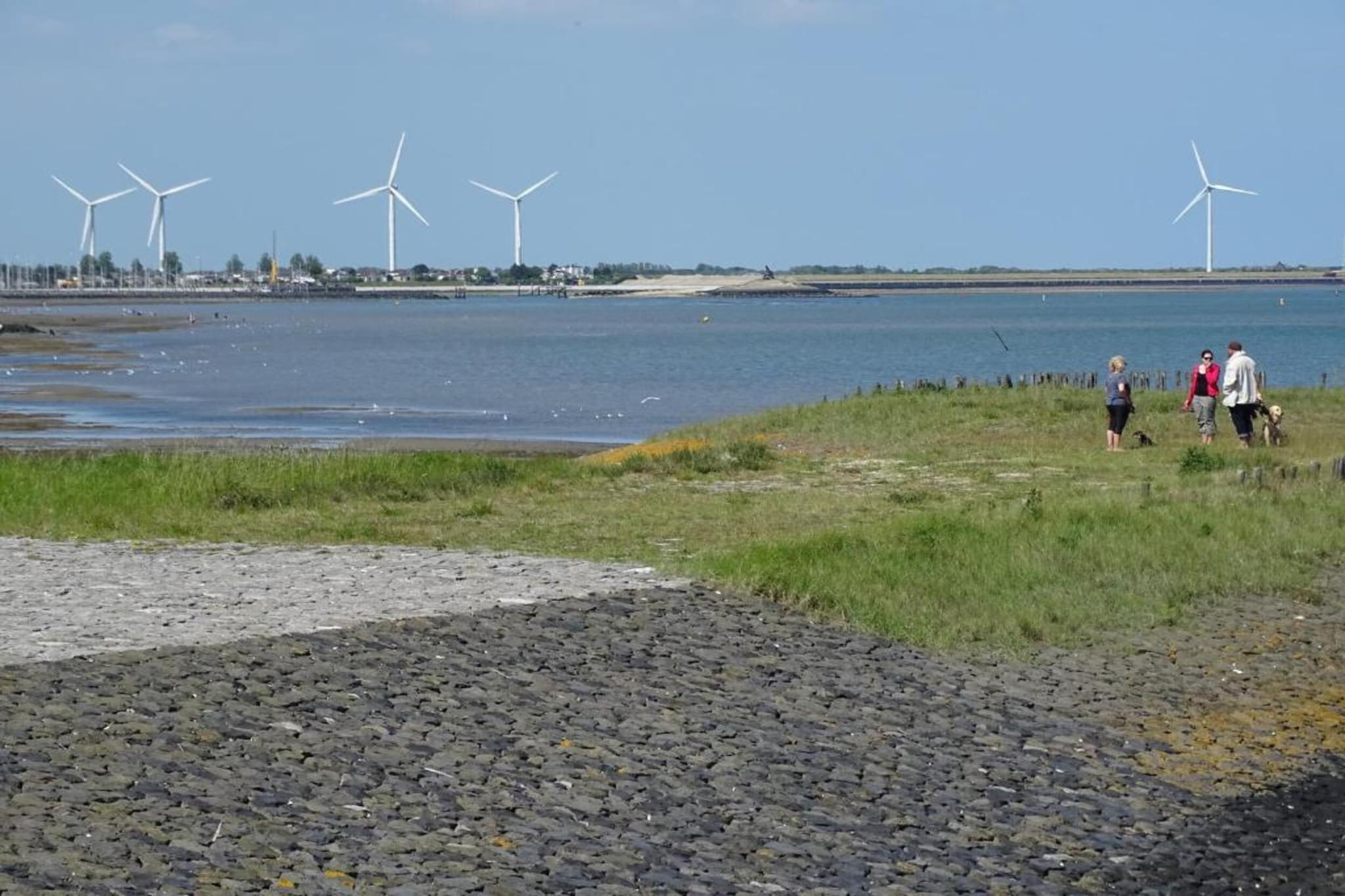 Heerlijkheid Vlietenburg 7-Zones d'été à 20 km