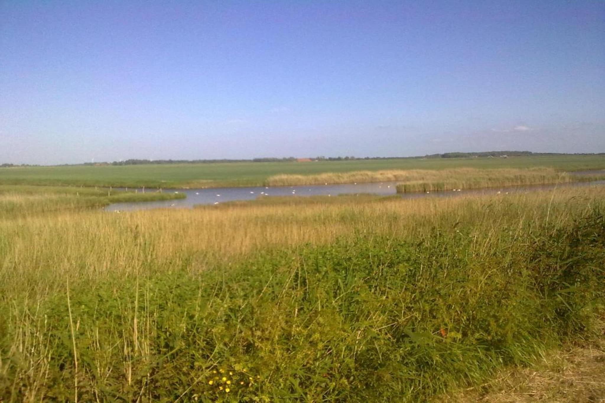 Heerlijkheid Vlietenburg 7-Zones d'été à 20 km