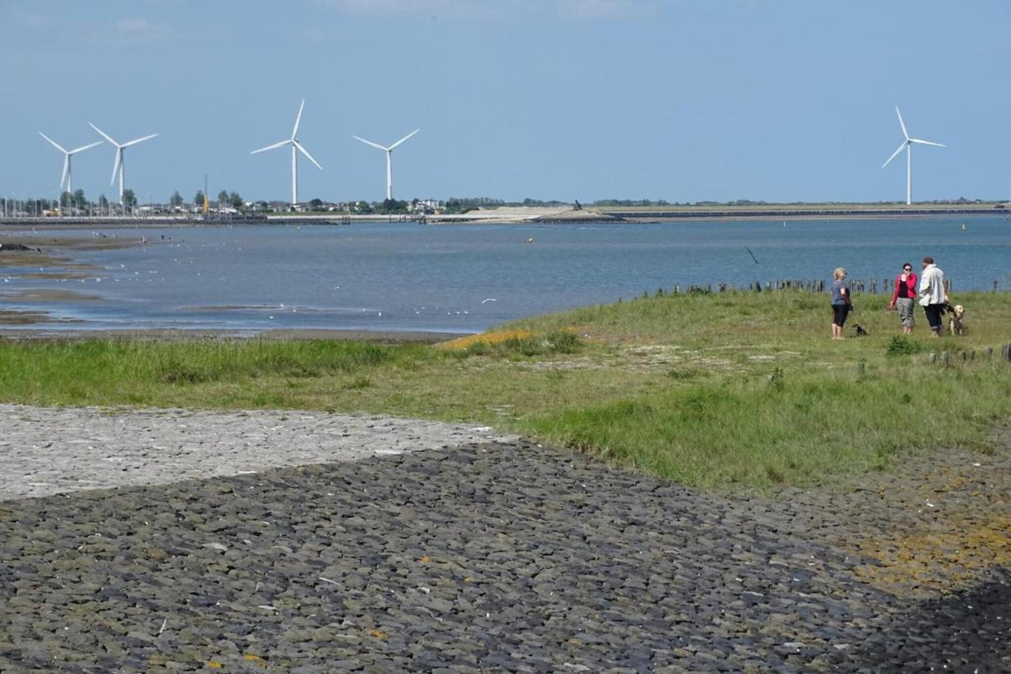 Heerlijkheid Vlietenburg 13-Gebieden zomer 20km