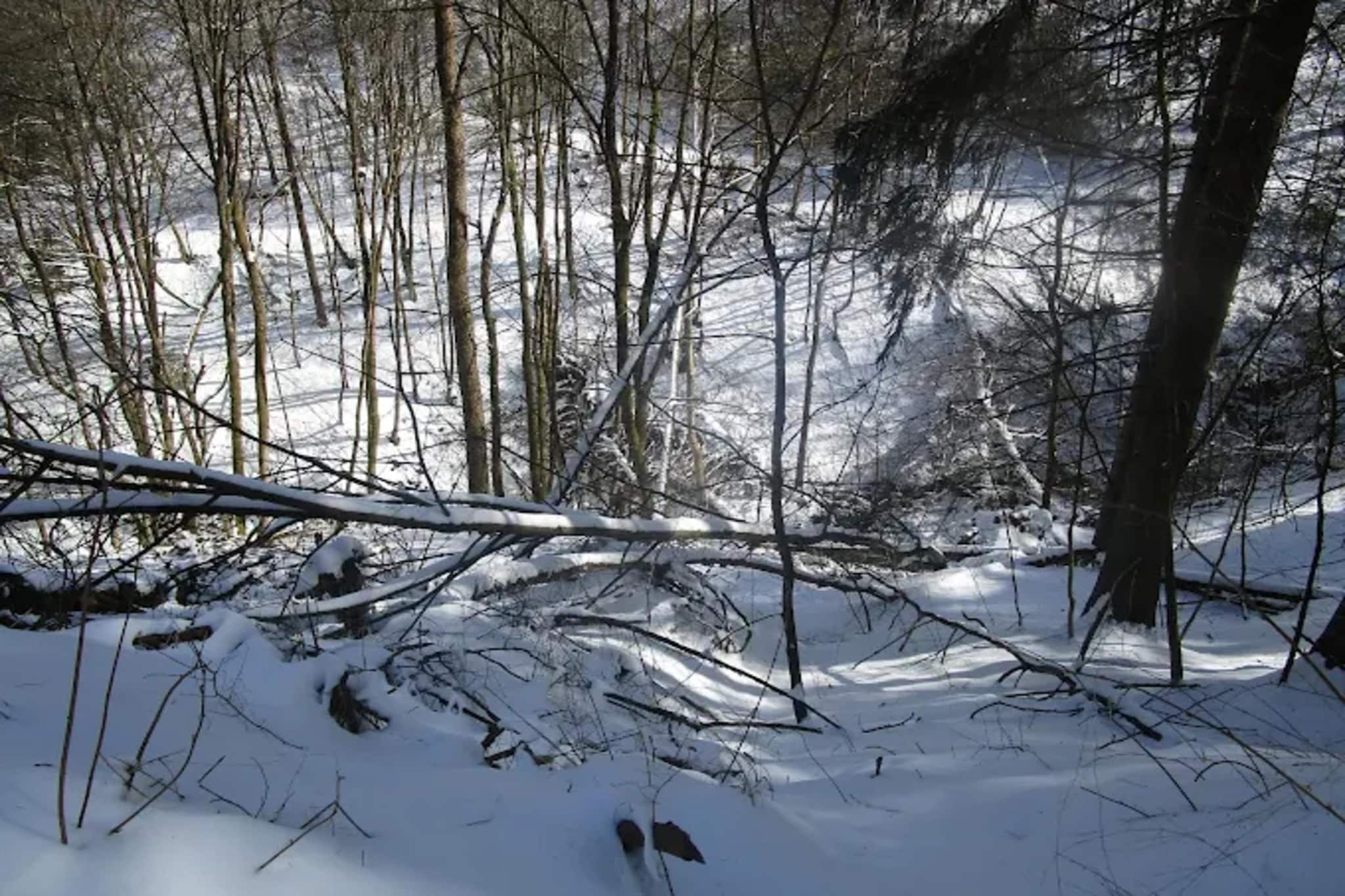 Auszeit Winterberg-Gebied winter 5km