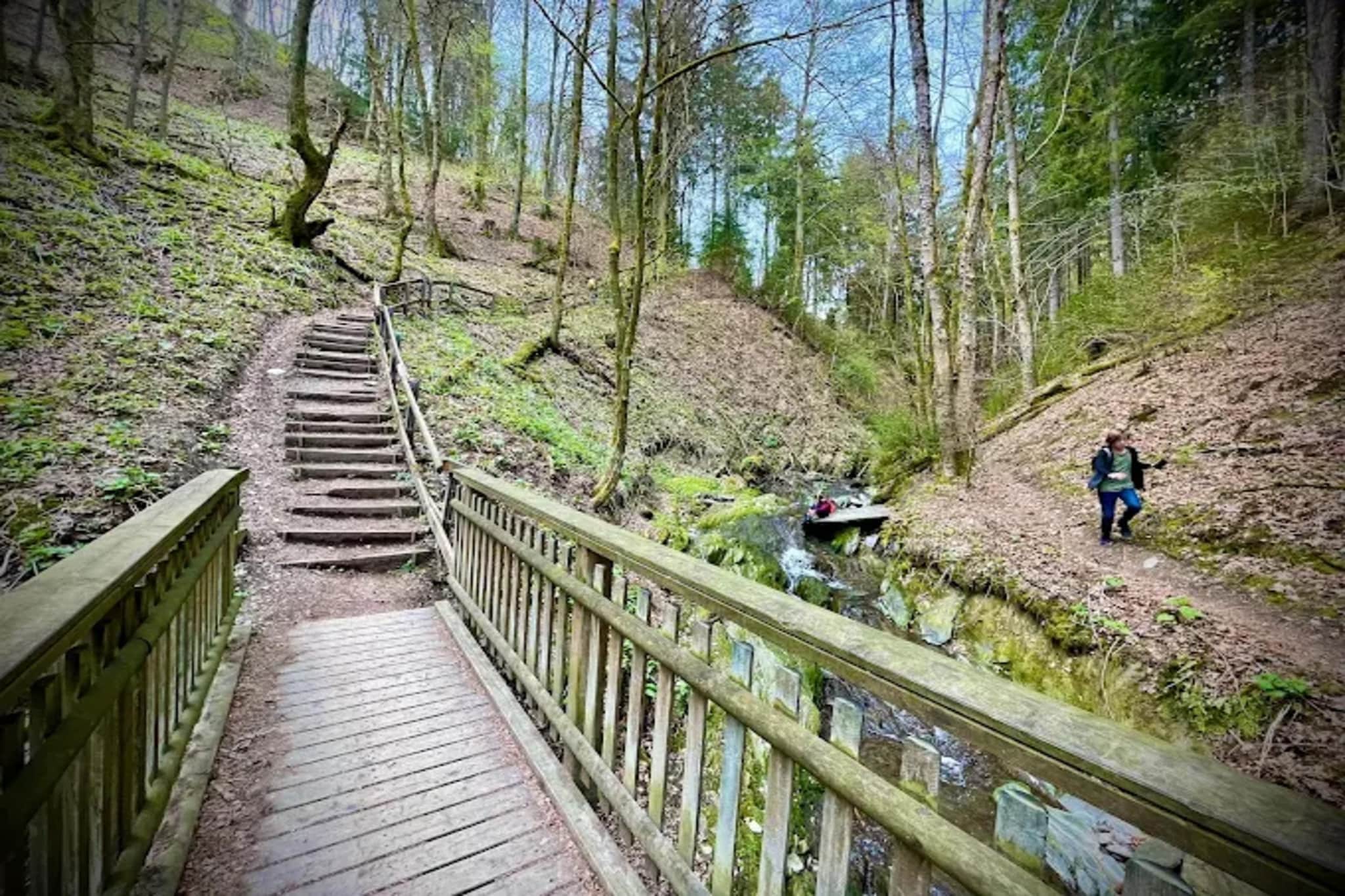 Auszeit Winterberg-Gebieden zomer 5km