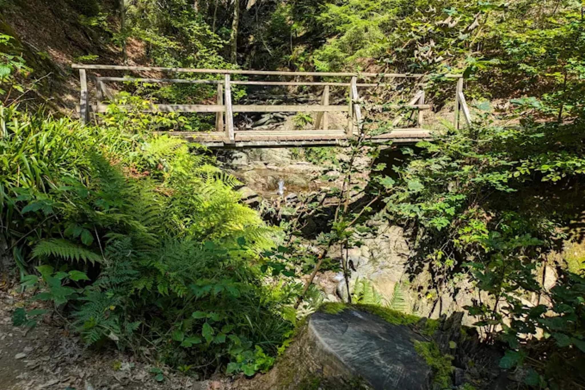 Auszeit Winterberg-Gebieden zomer 5km