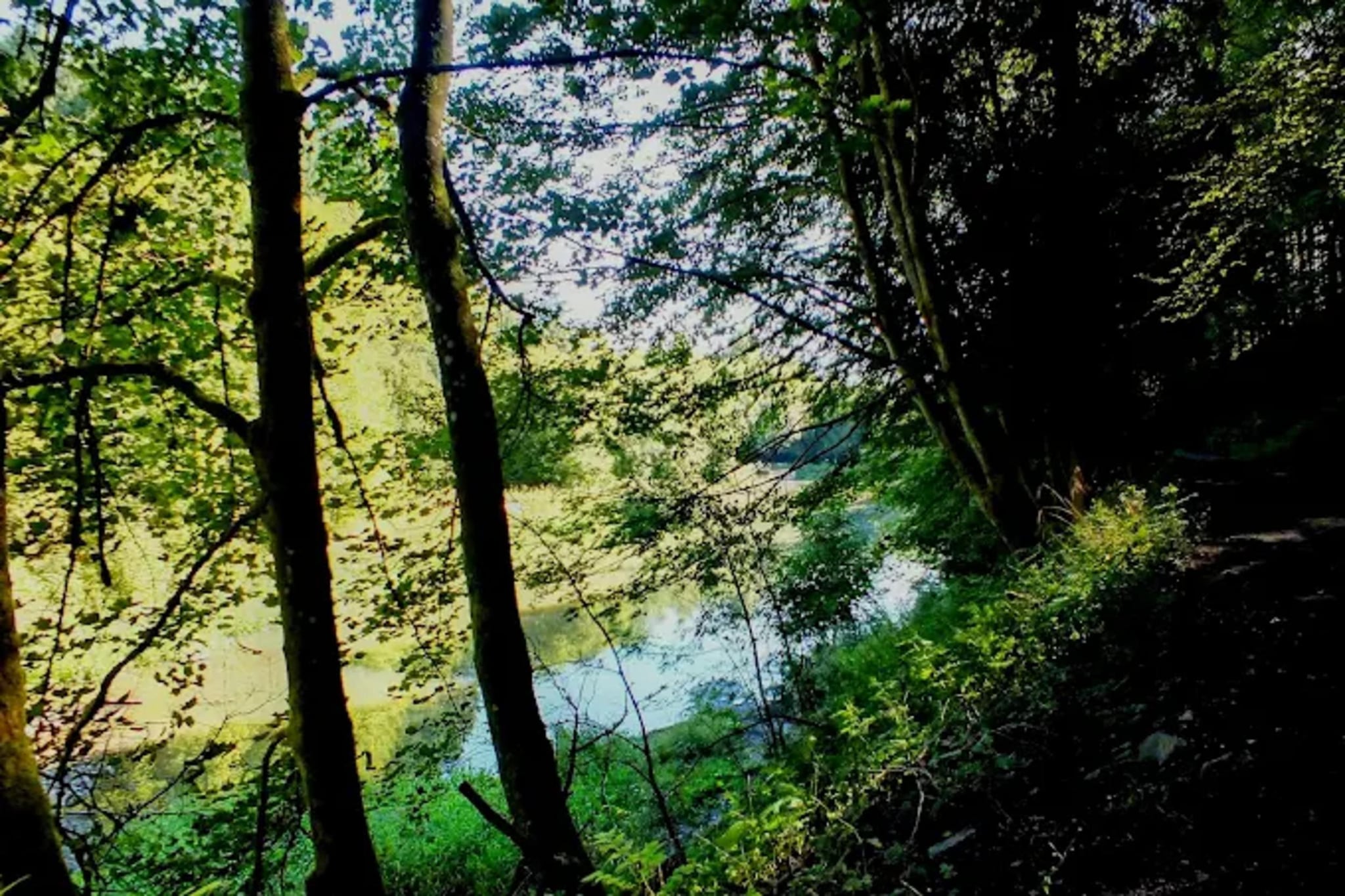 Auszeit Winterberg-Gebieden zomer 5km