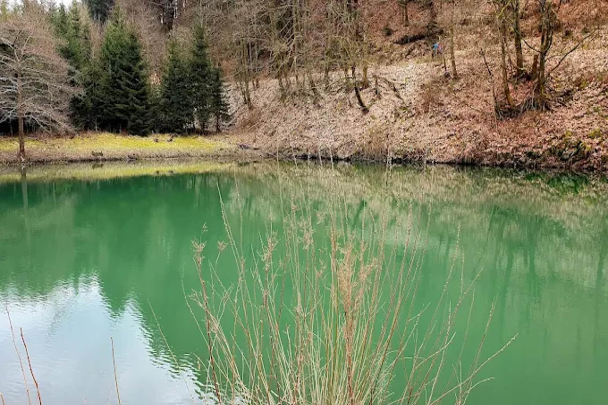 Auszeit Winterberg-Gebieden zomer 5km