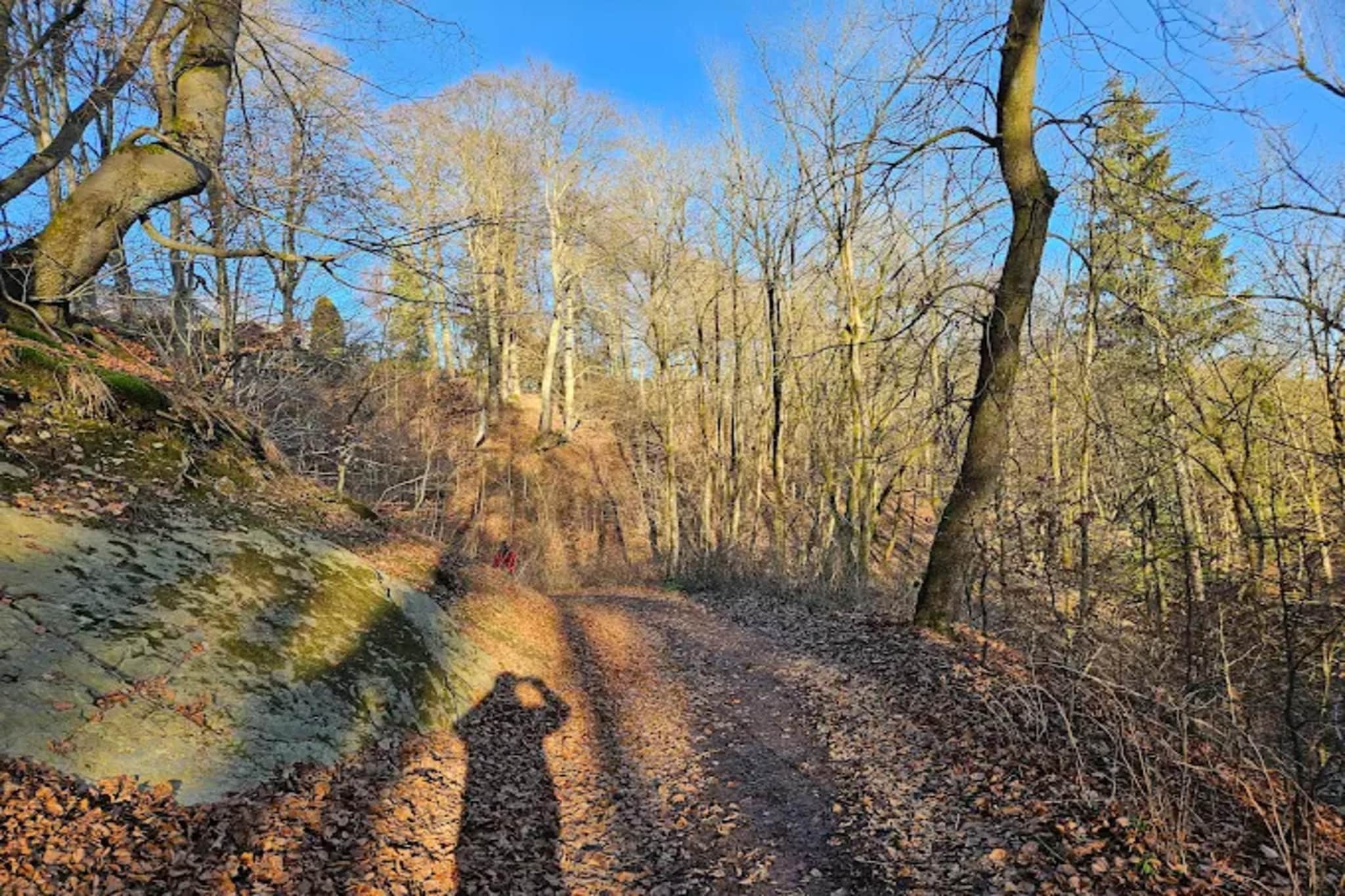 Auszeit Winterberg-Gebieden zomer 5km