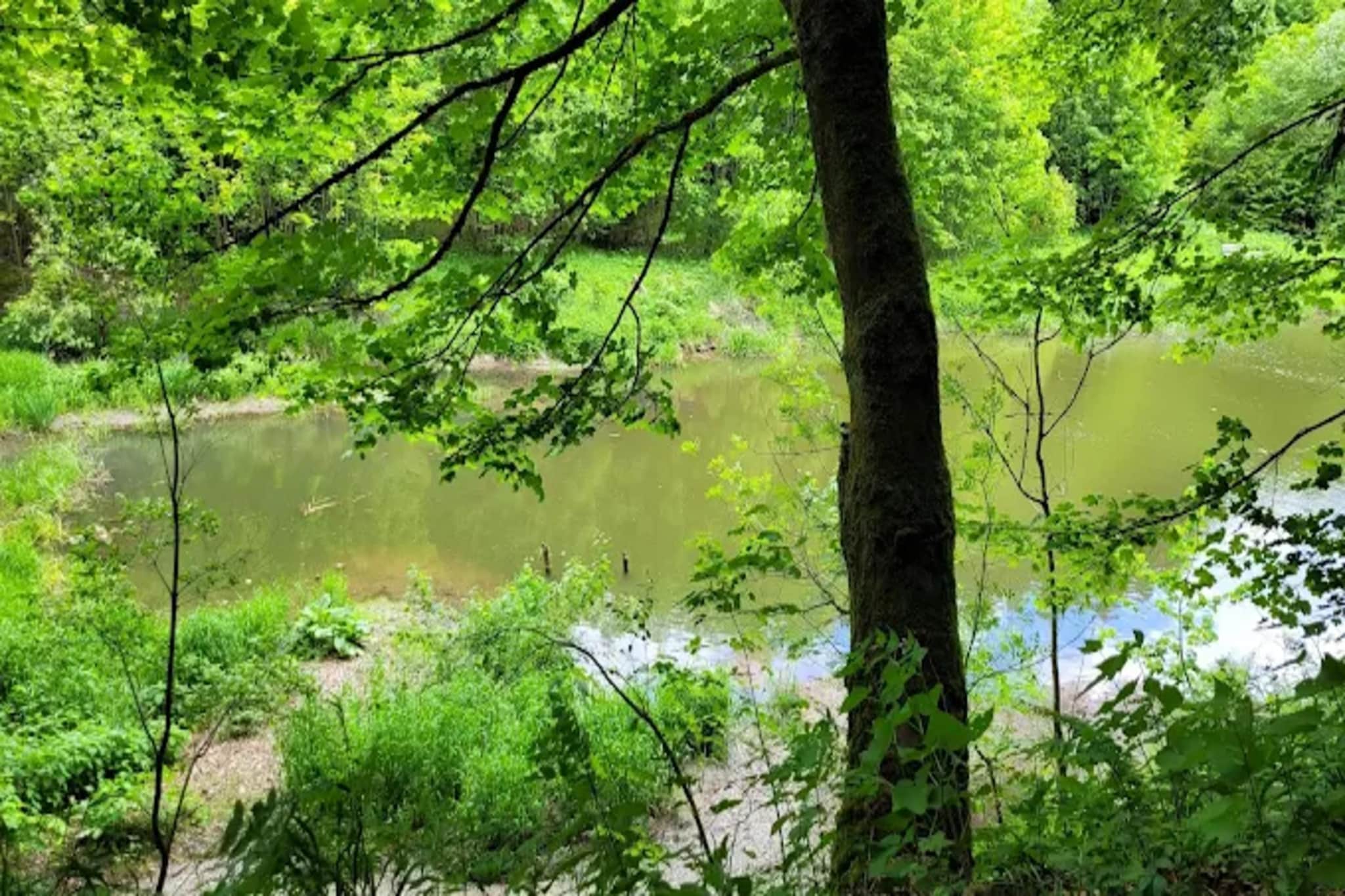 Auszeit Winterberg-Gebieden zomer 5km