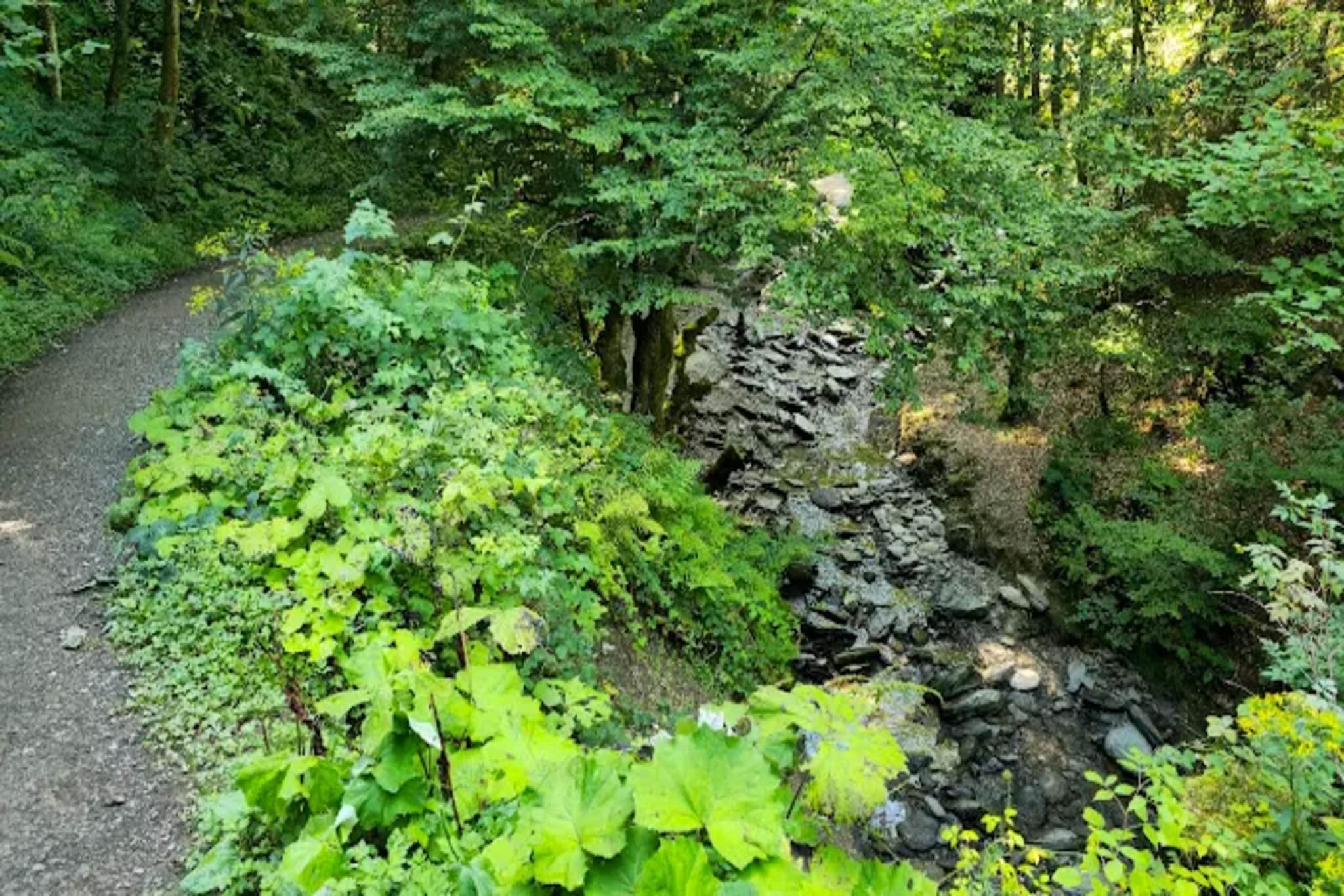 Auszeit Winterberg-Gebieden zomer 5km